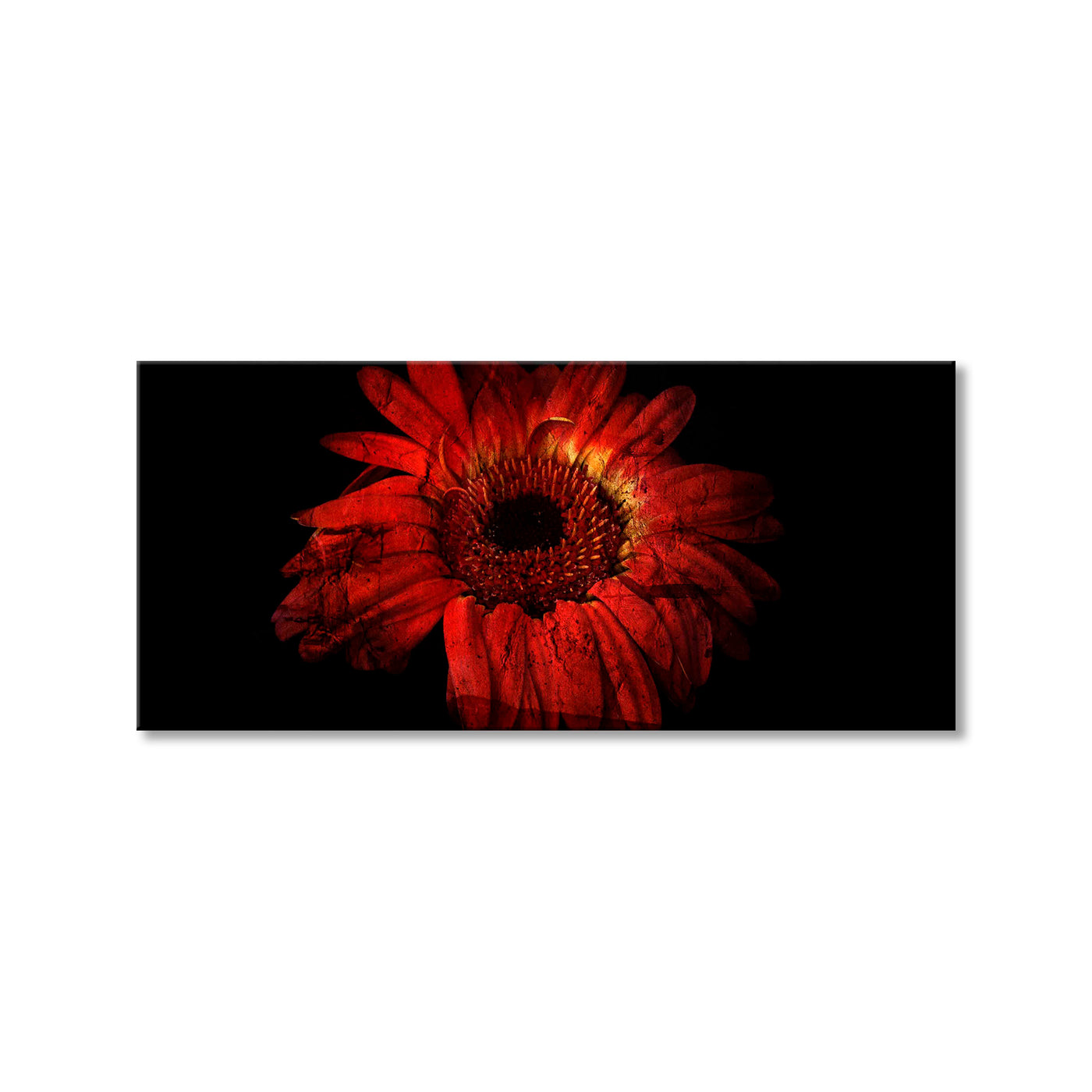 Abstract Flower XIV-B