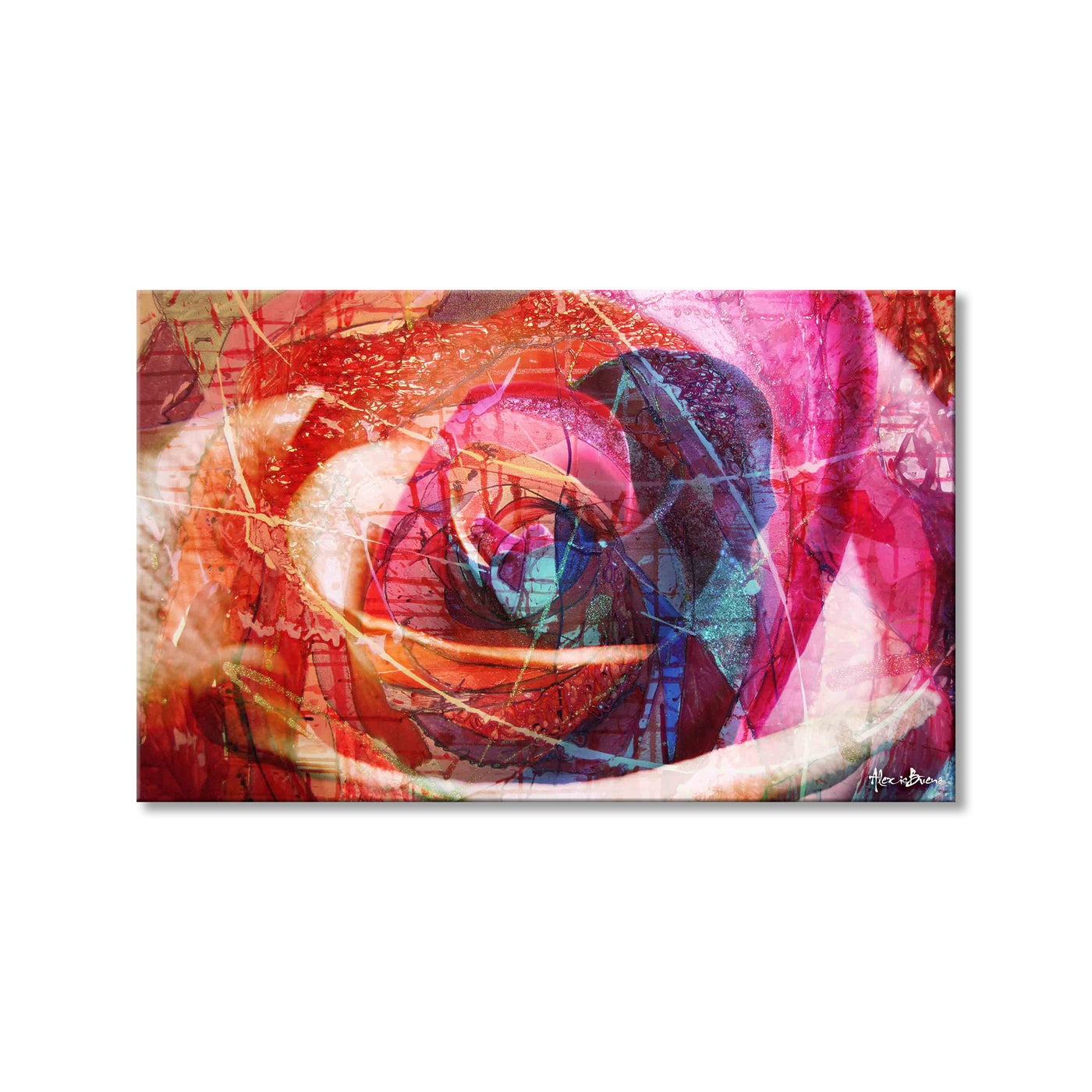 Abstract Rose