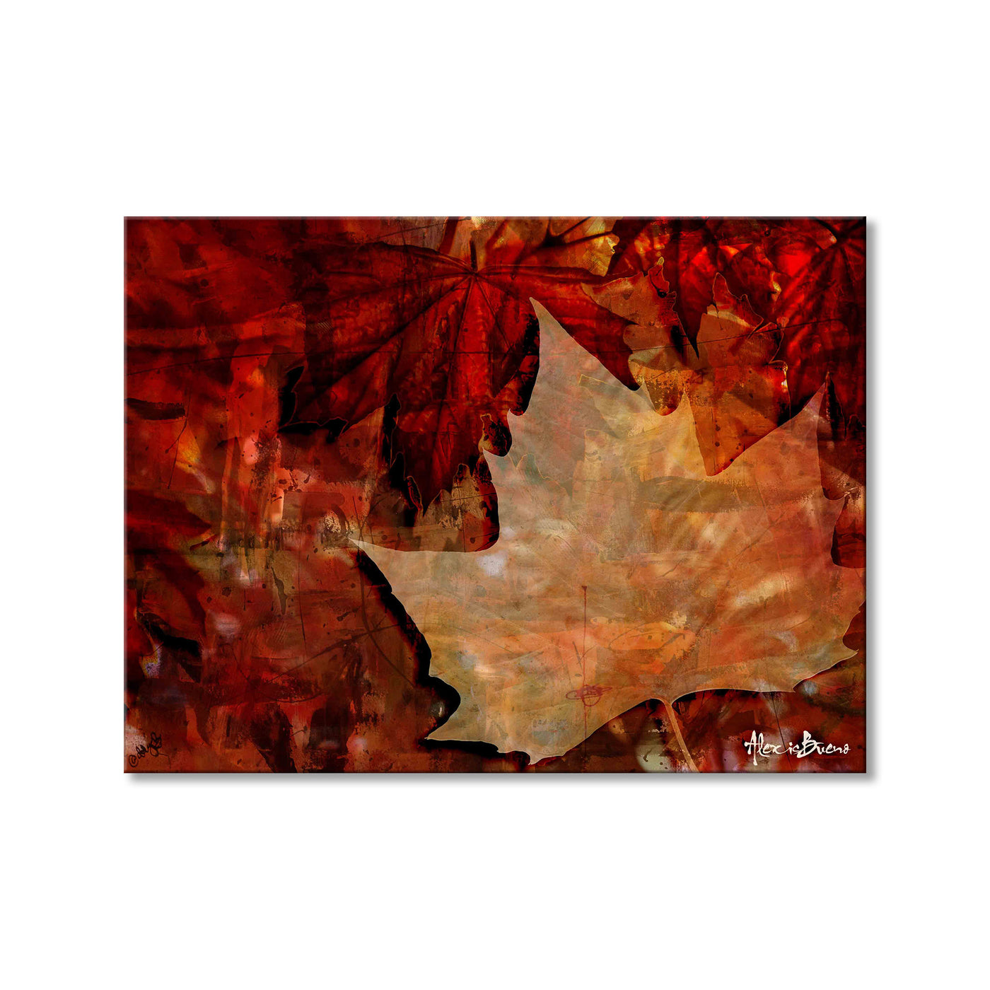 Abstract Autumn