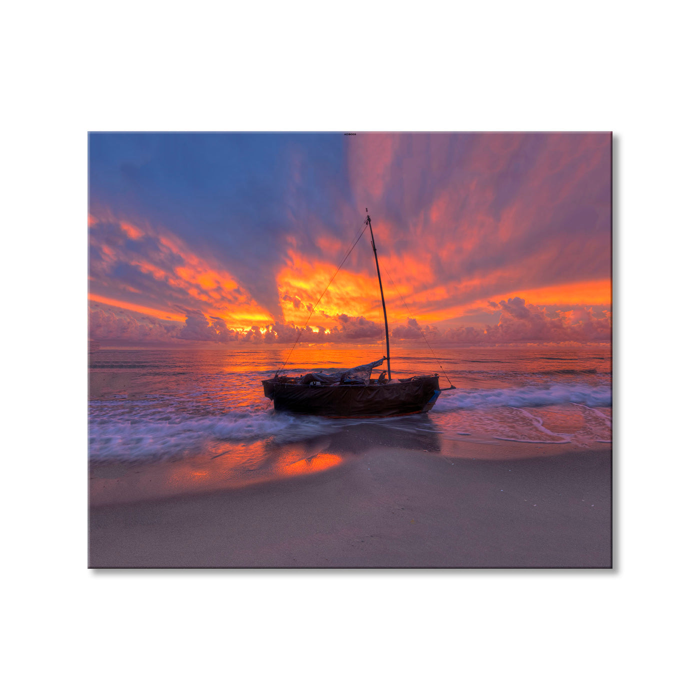 Shorelines Kiss
