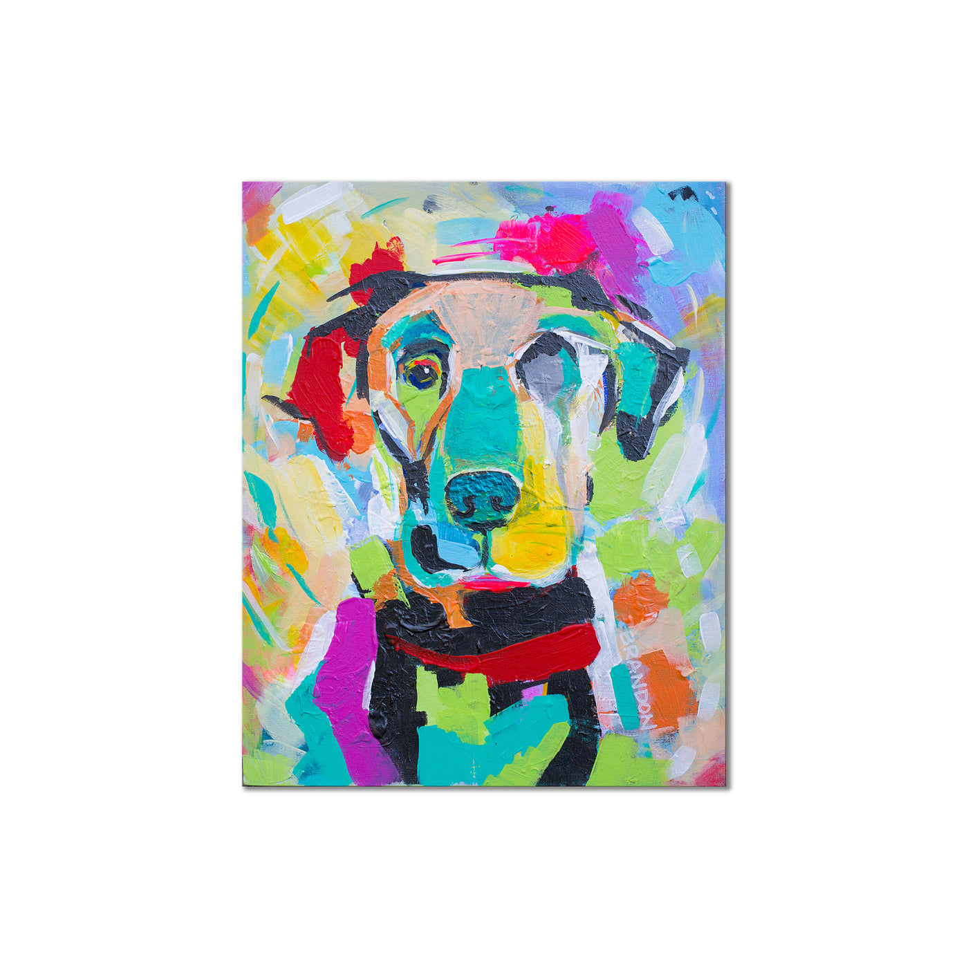 Colorburst Pup