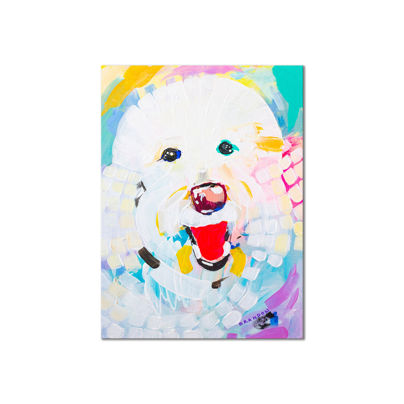 Colorburst Bichon