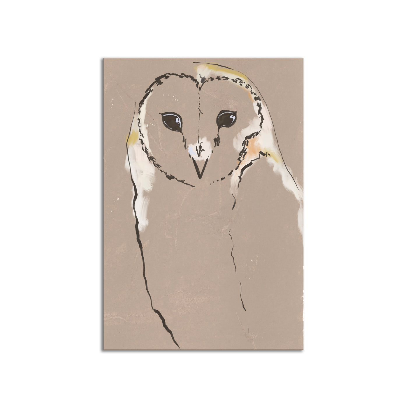 Aviary Owl