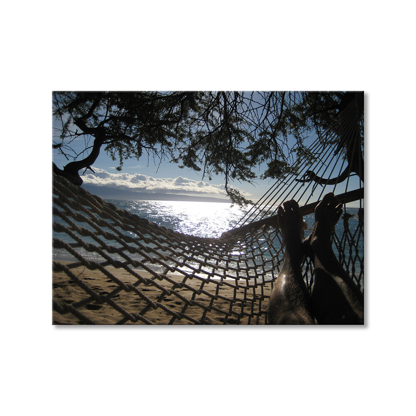 Hammock