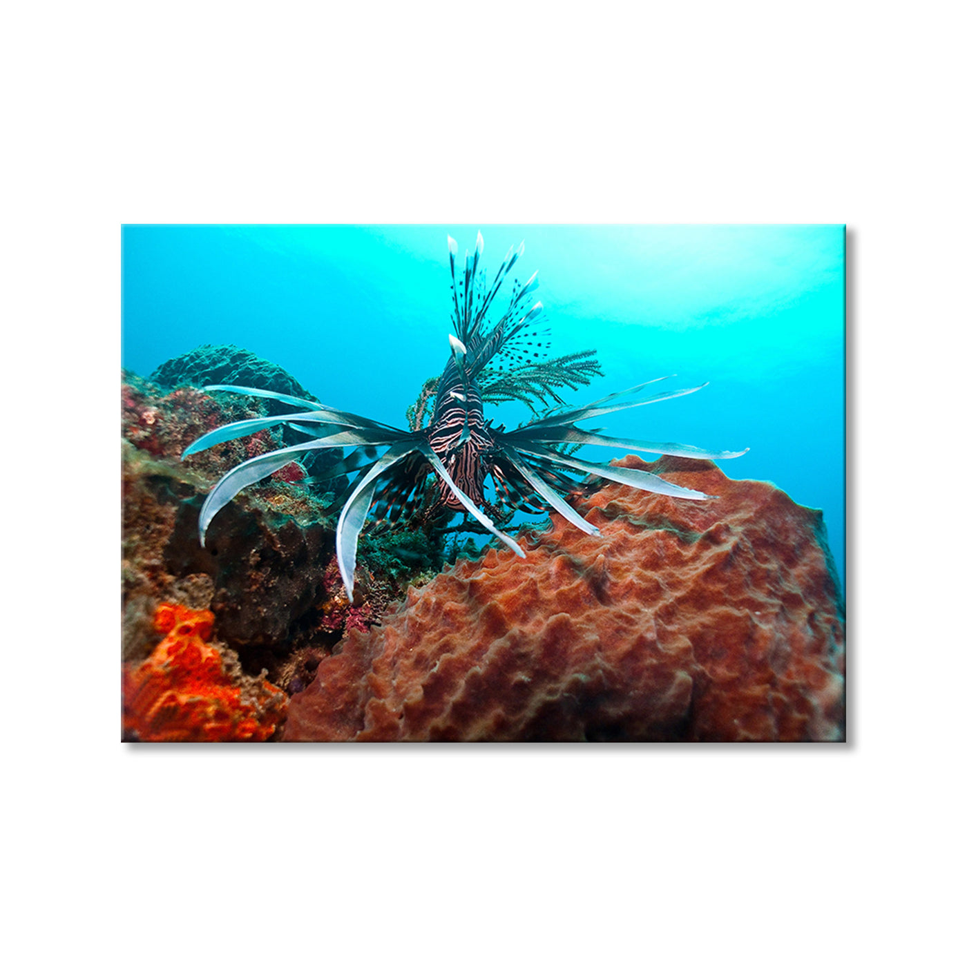 Underwater