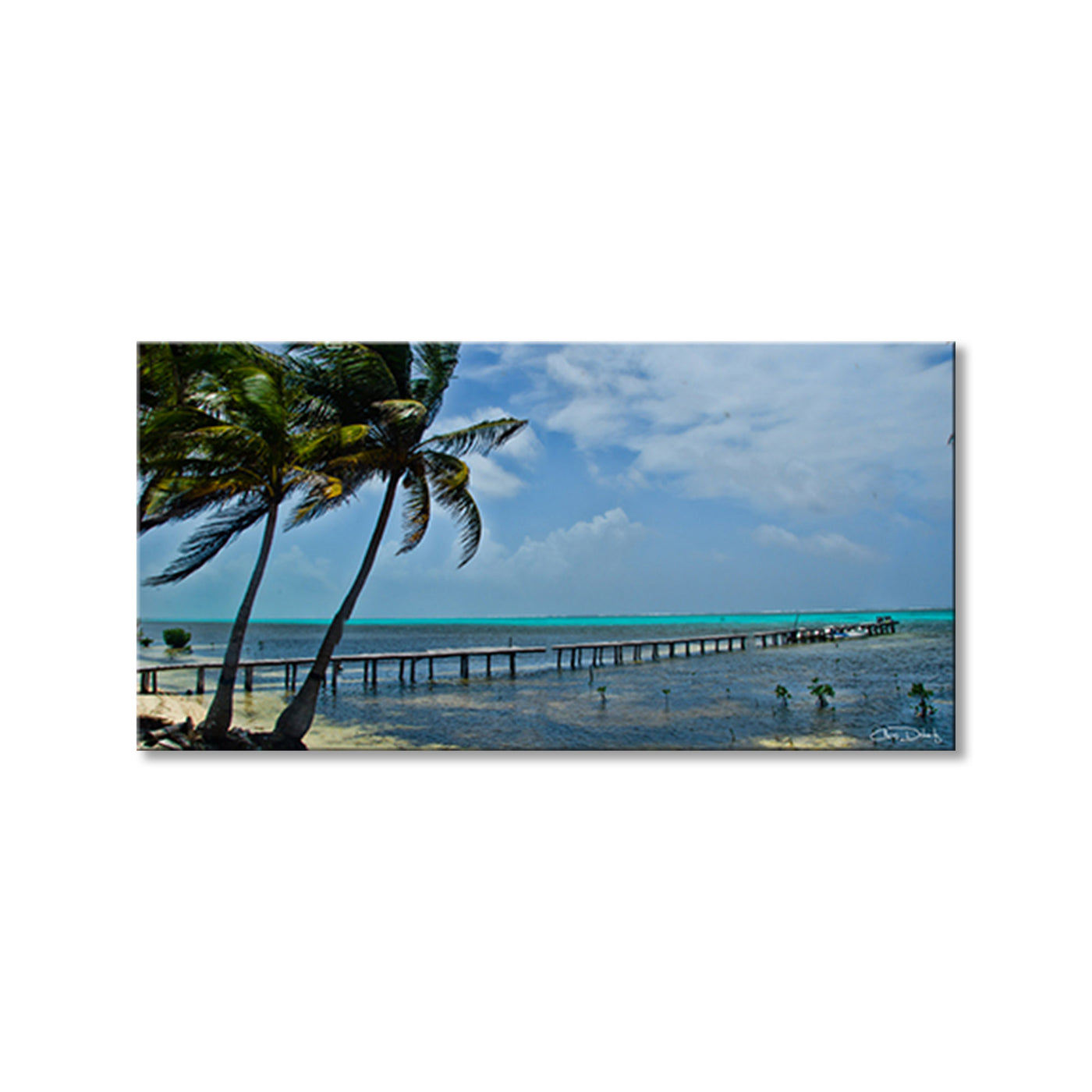 Maya Coast