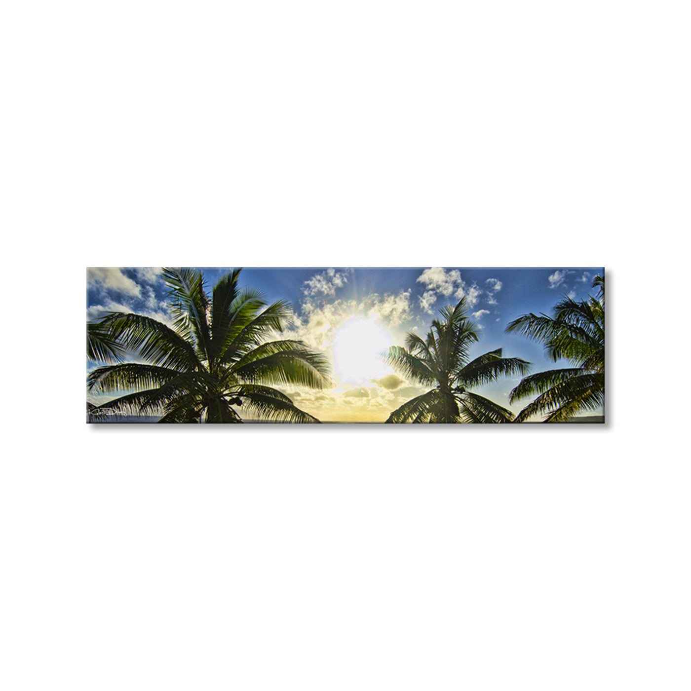 Niue Palms Sunset