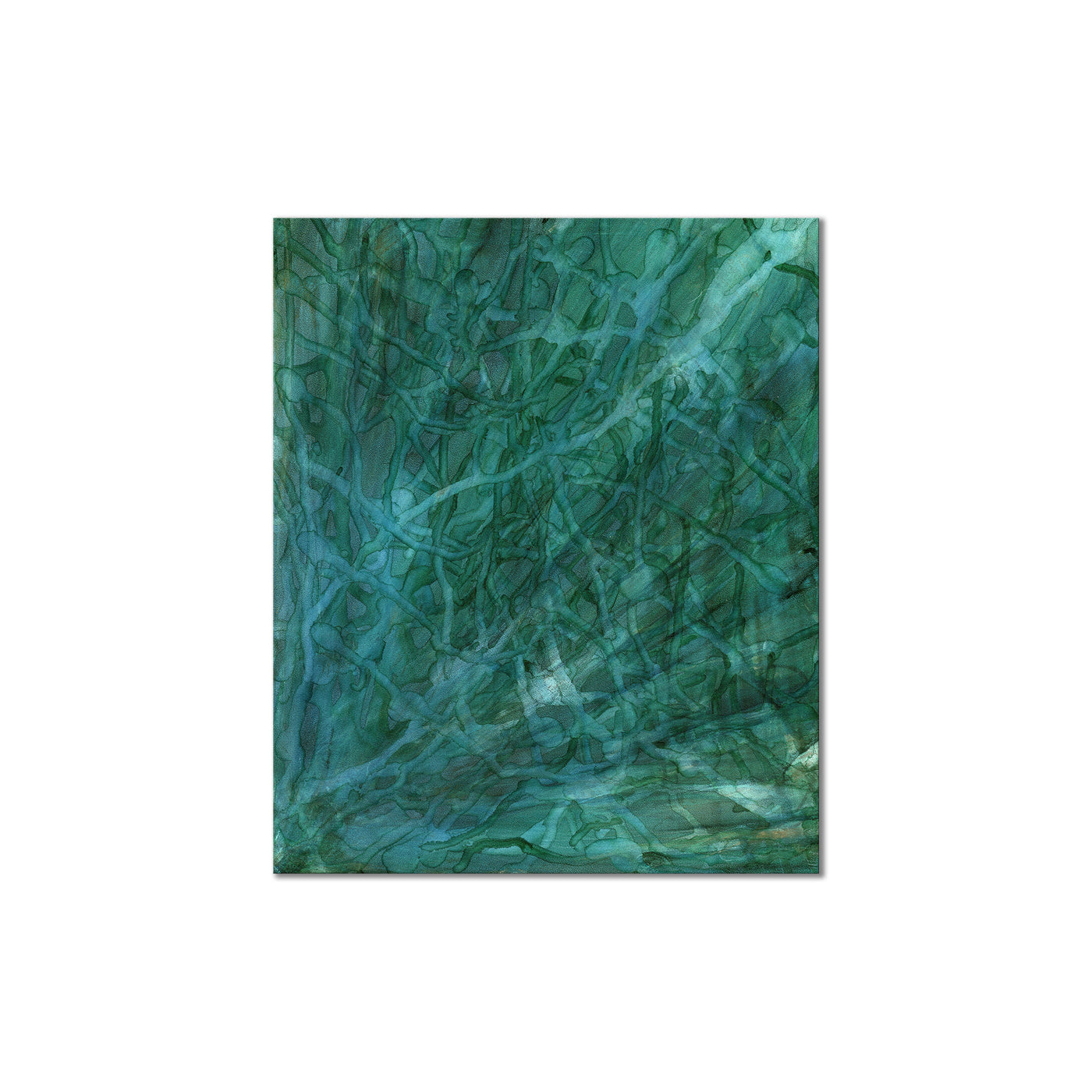 Vines