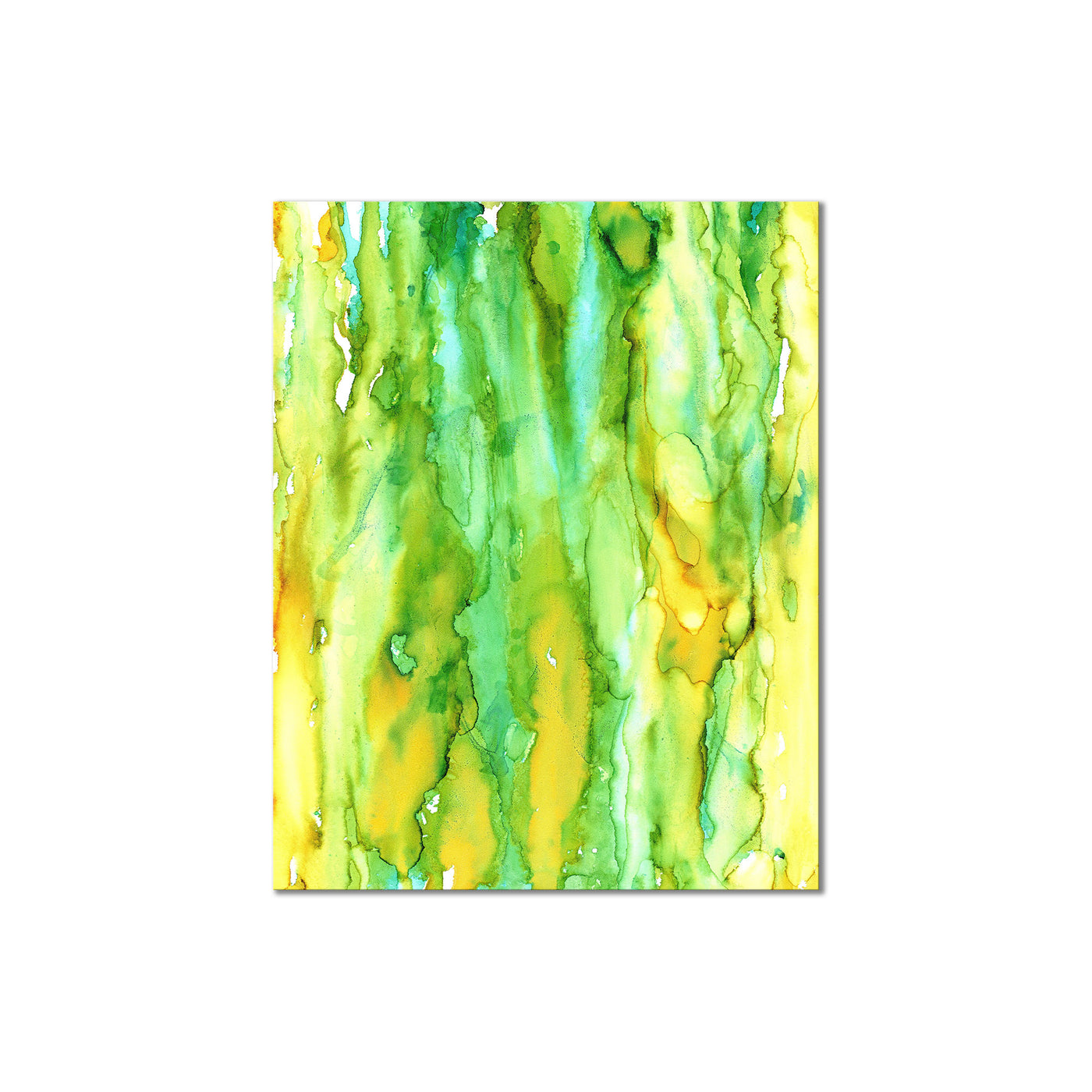 Algae