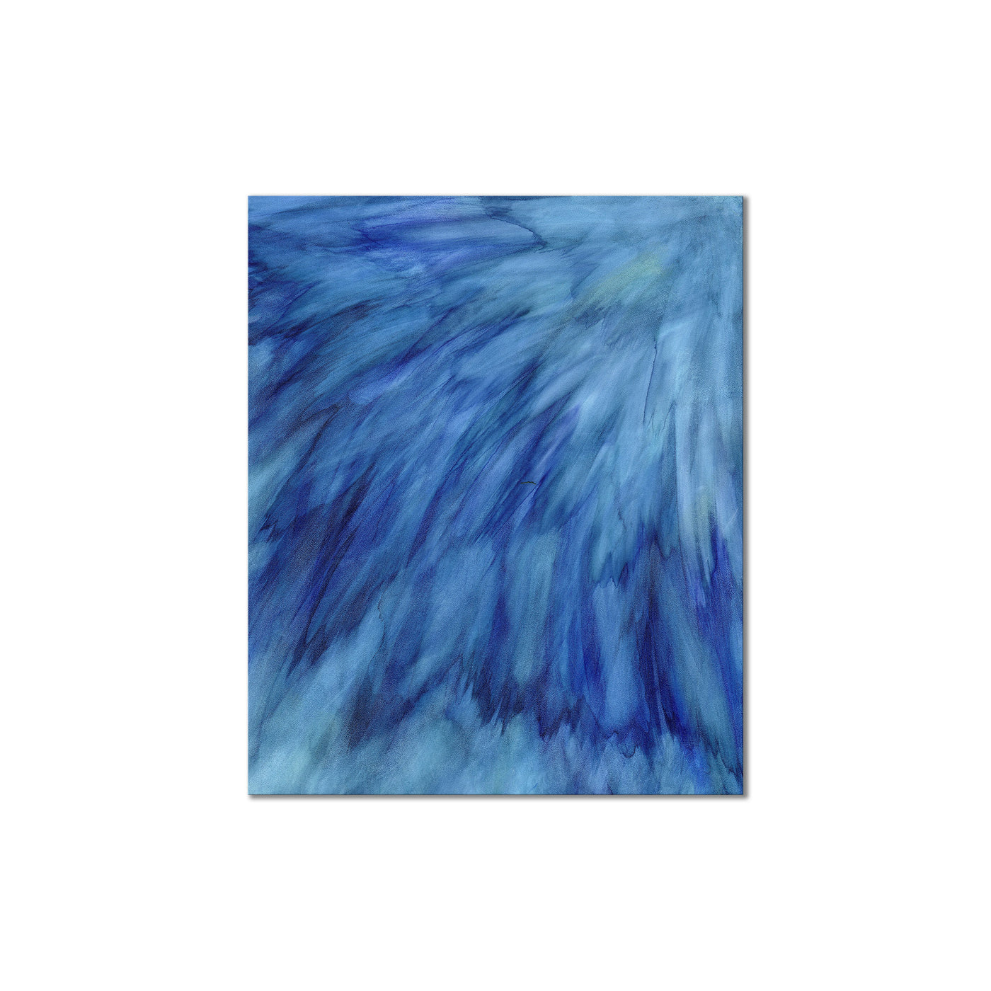 Blue Feathers