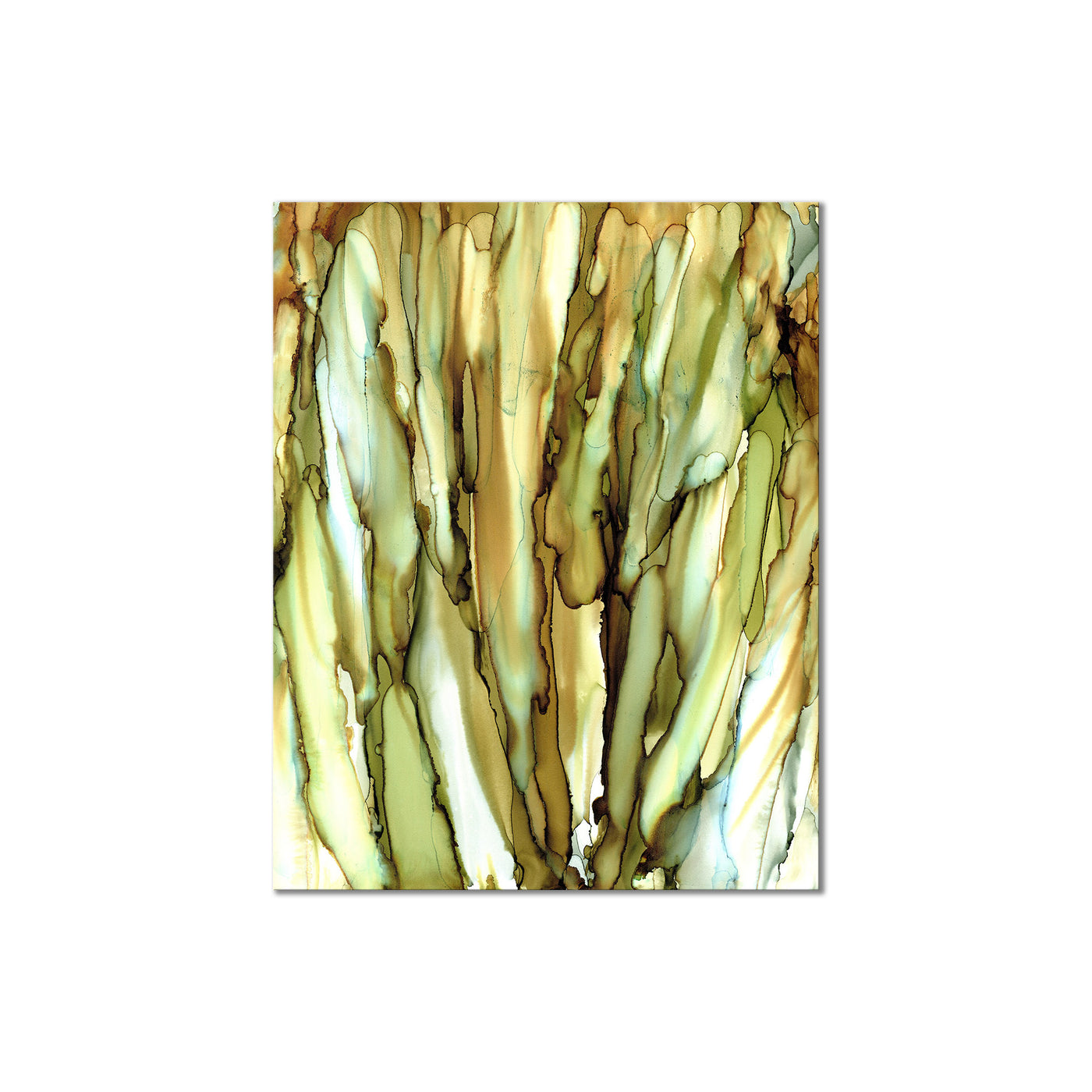Cattails