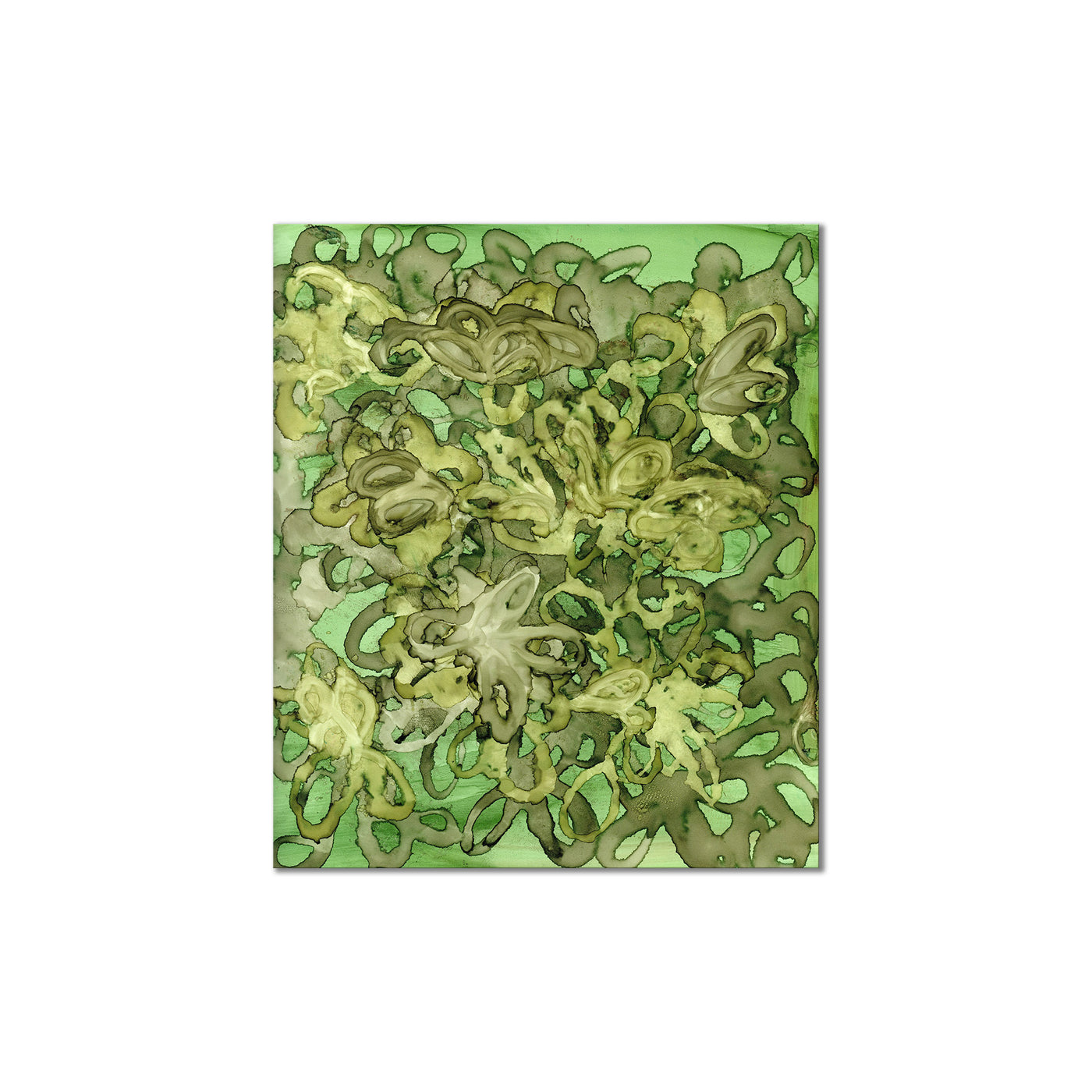 Clovers