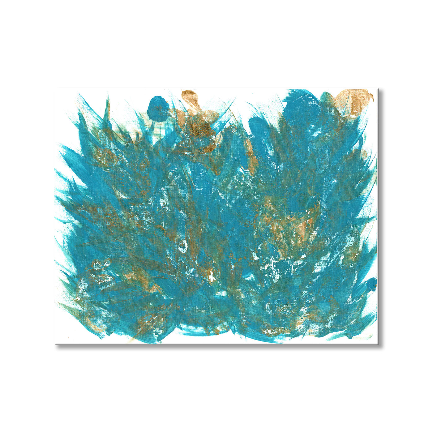 Feathers