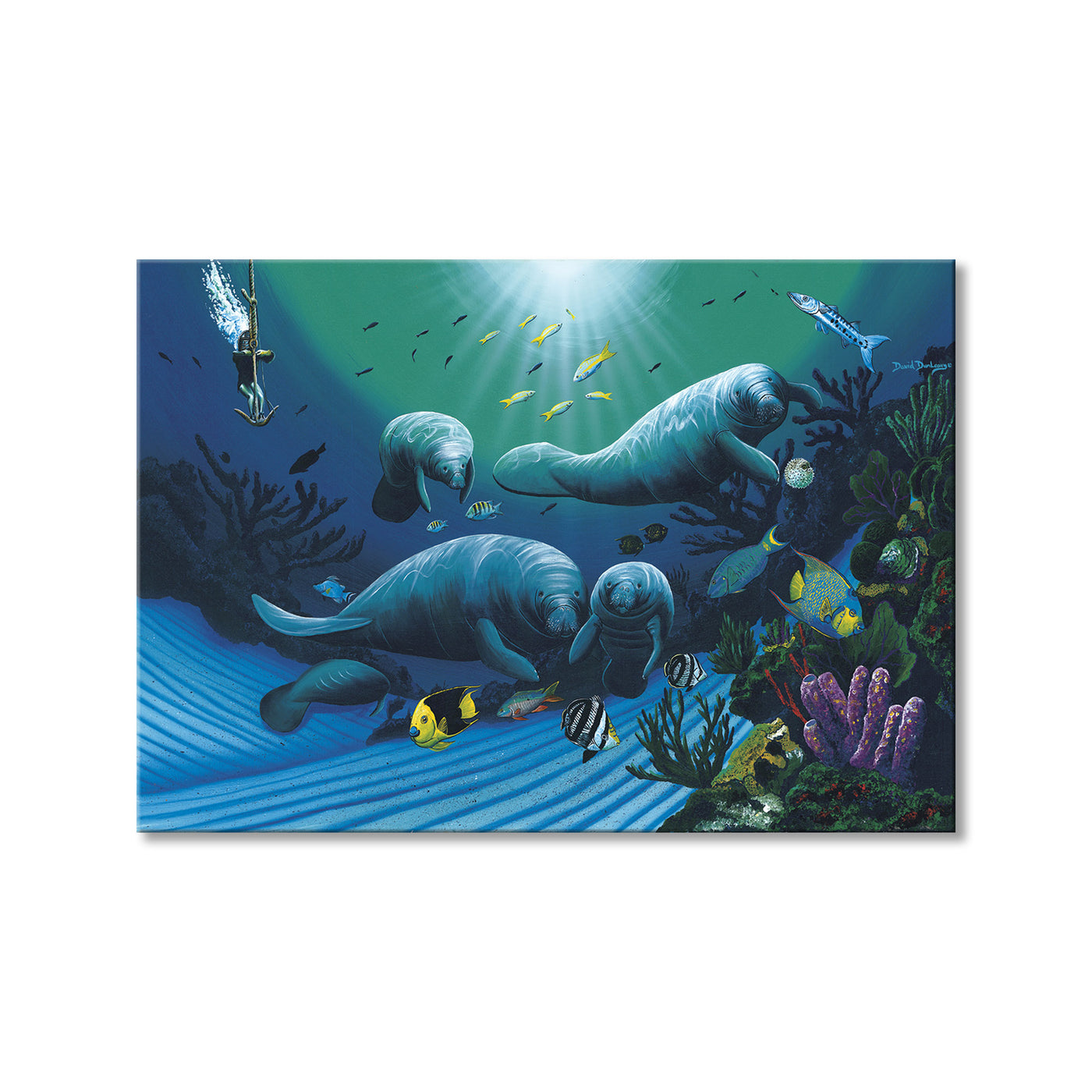 Diving with Art Mckee