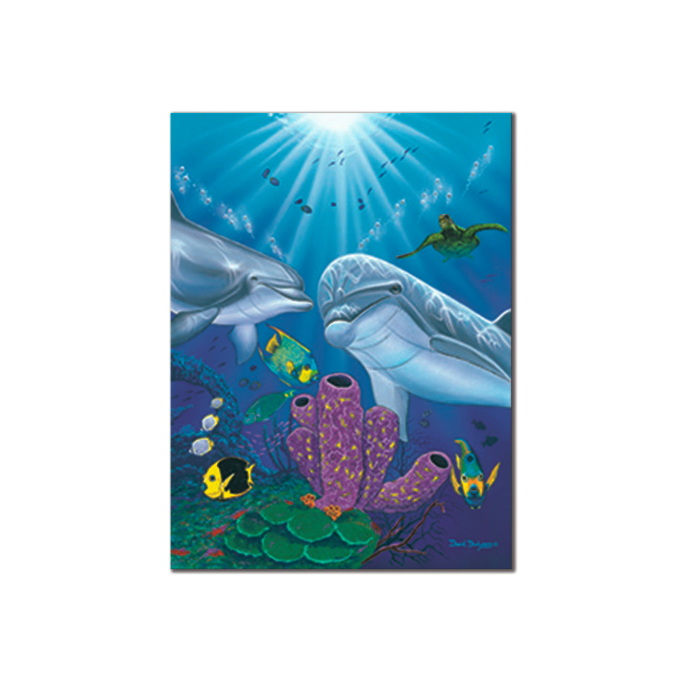 Dolphin Reef
