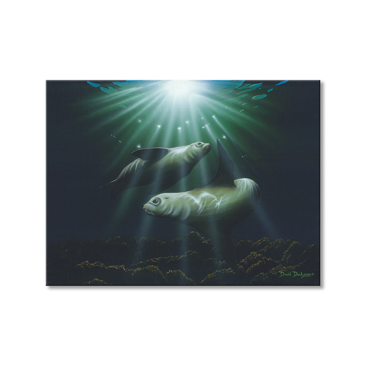 Through the Light