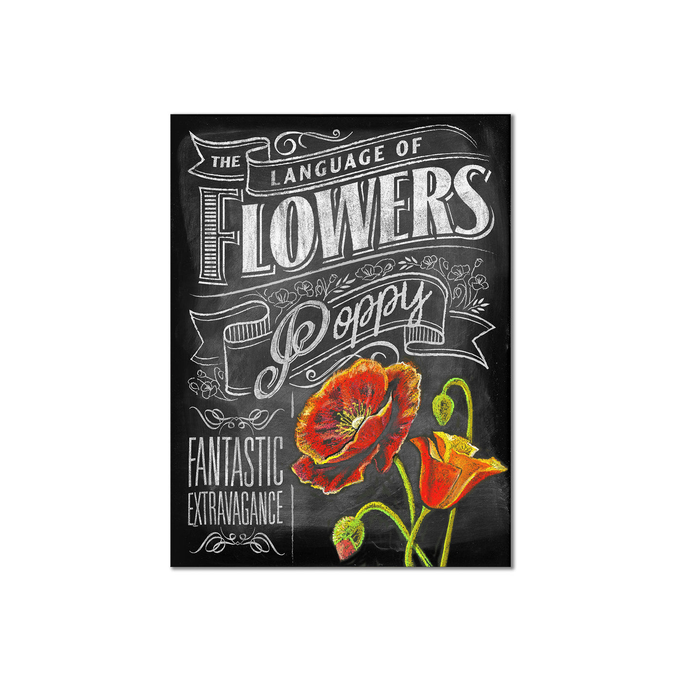 Language of Flowers - Poppies