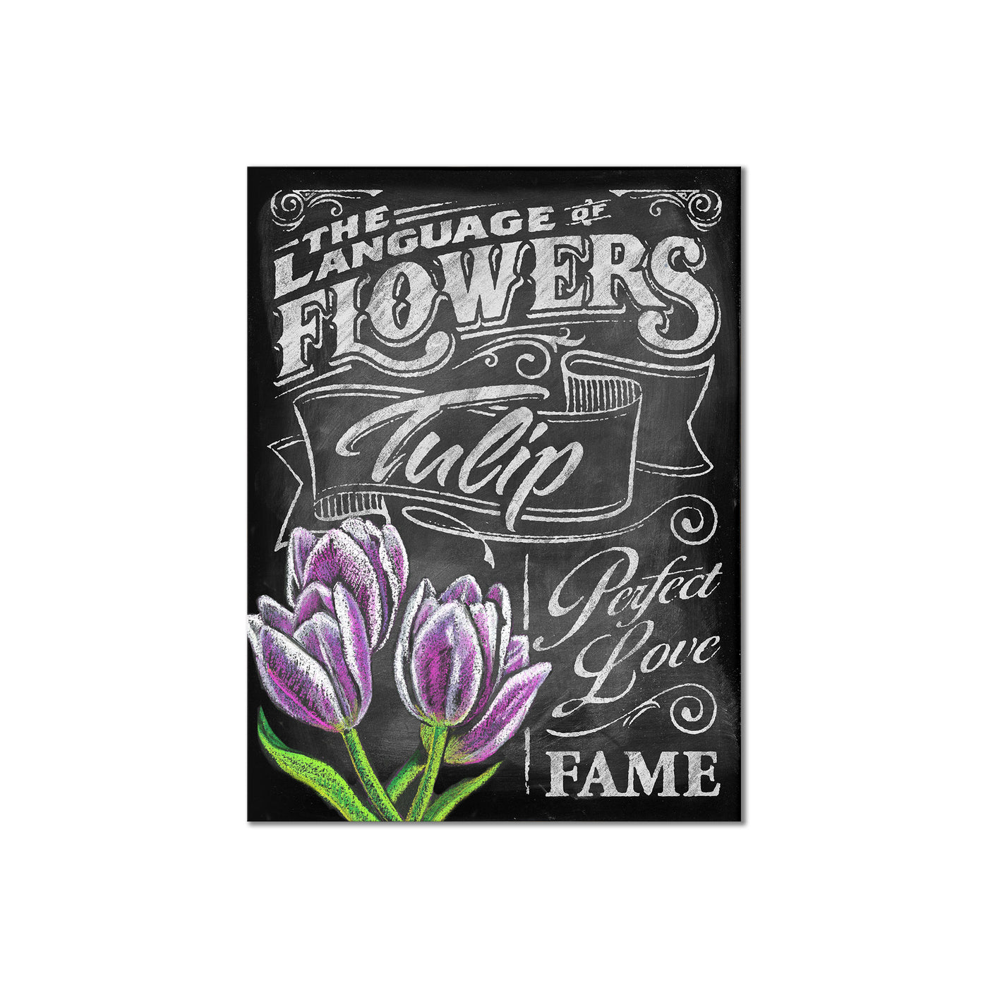 Language of Flowers - Tulip