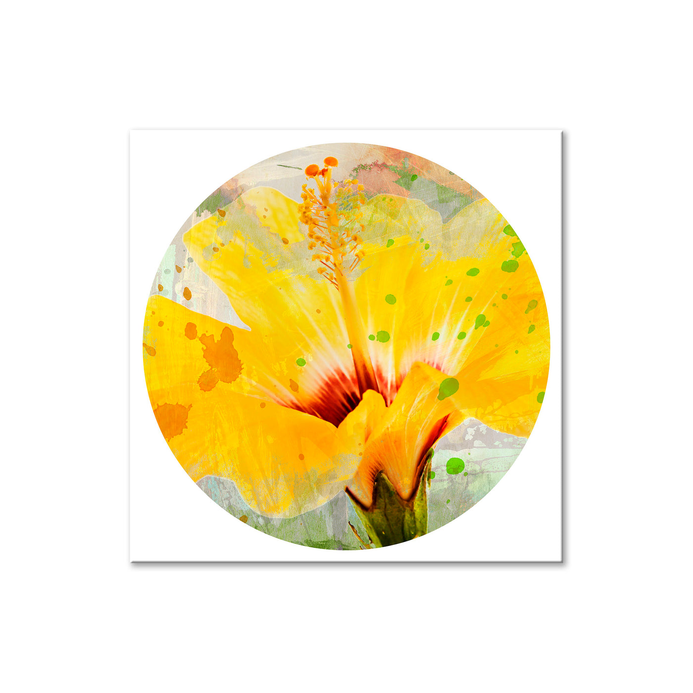 Petals Splash II