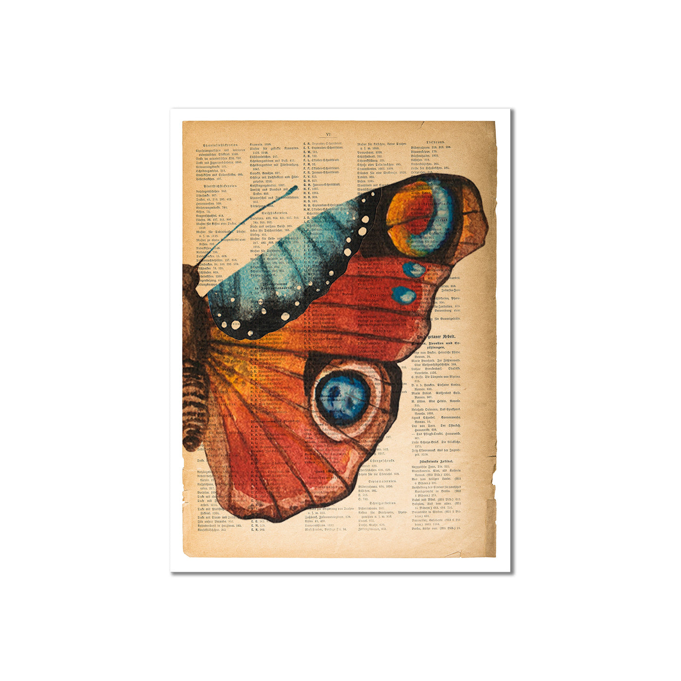 Butterfly Study I