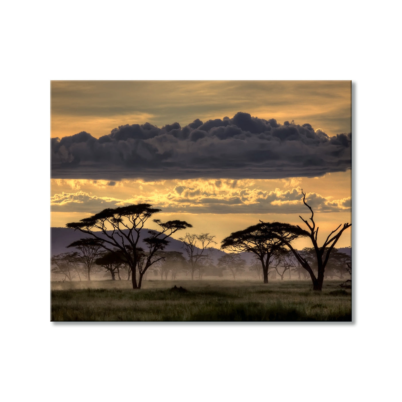 Good Evening Tanzania