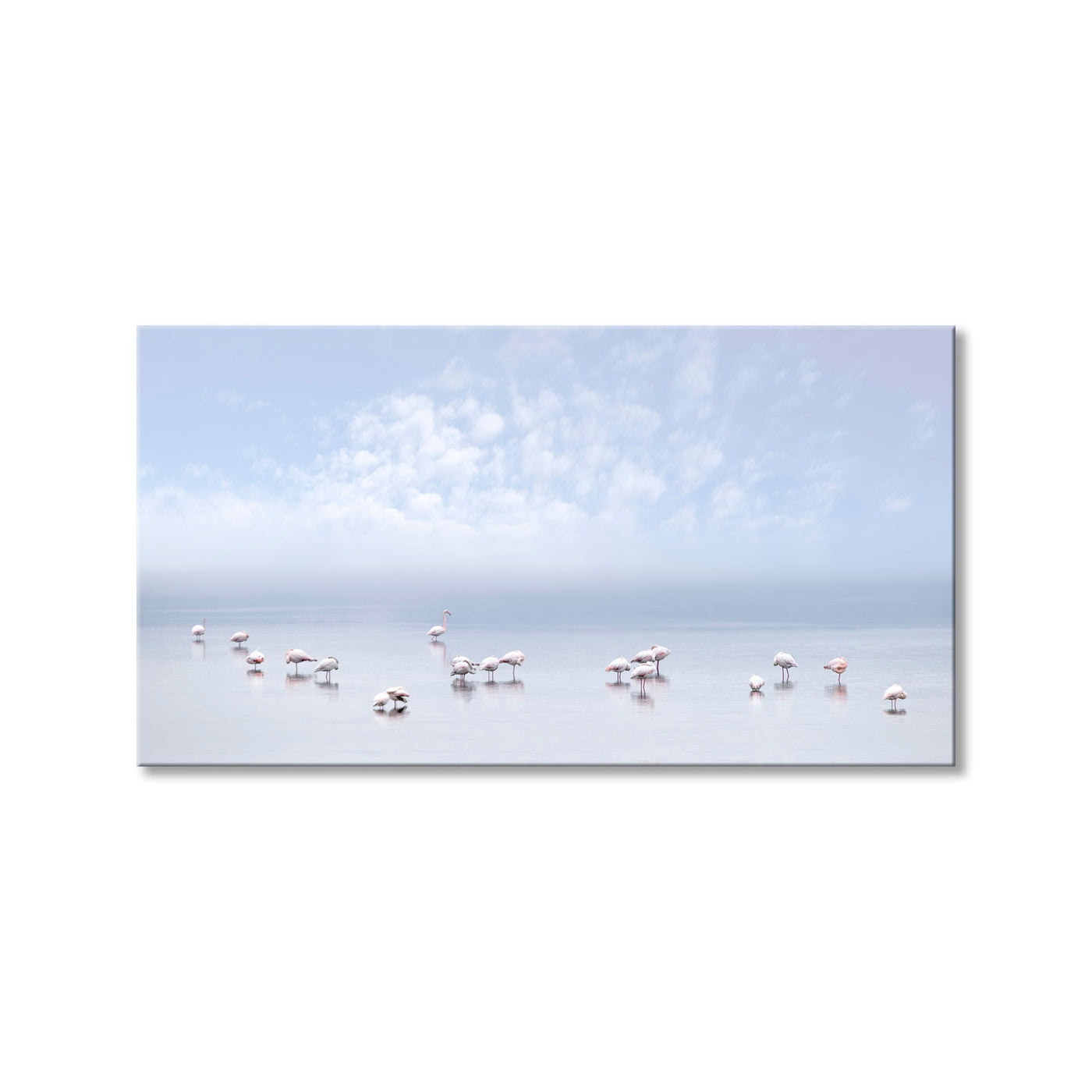 Flamingos I
