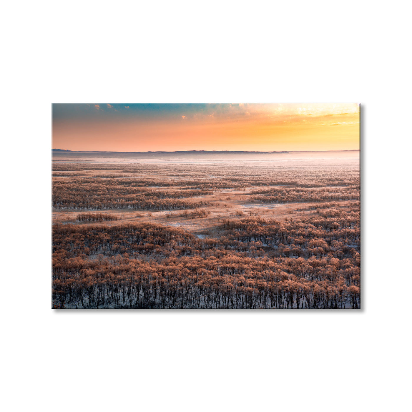 Dawn