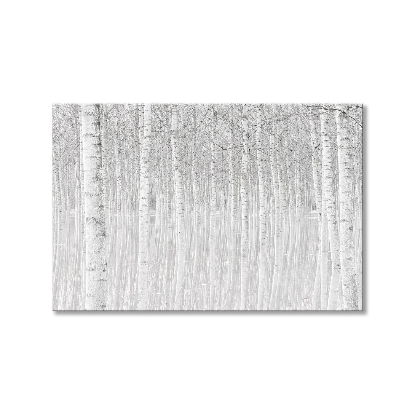 Trees