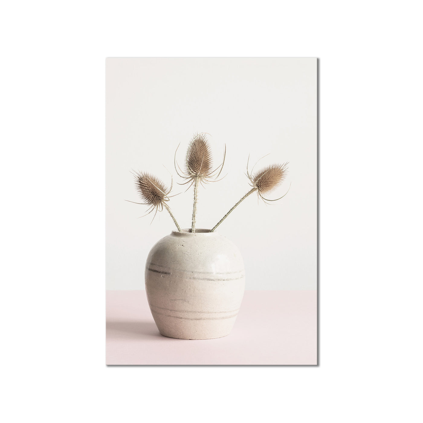 Dried Flowers in Vase