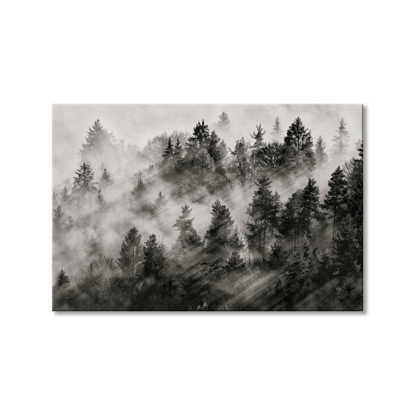 Sundance No.2