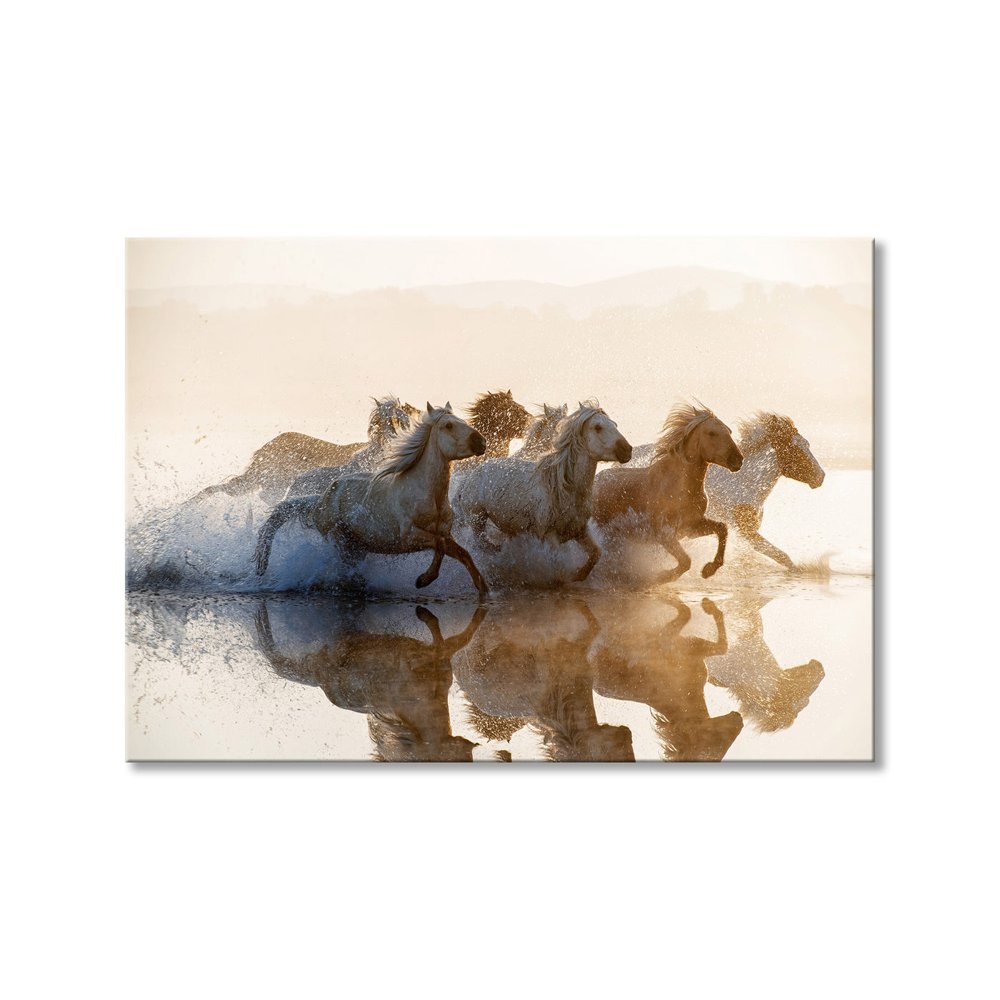 Horses II