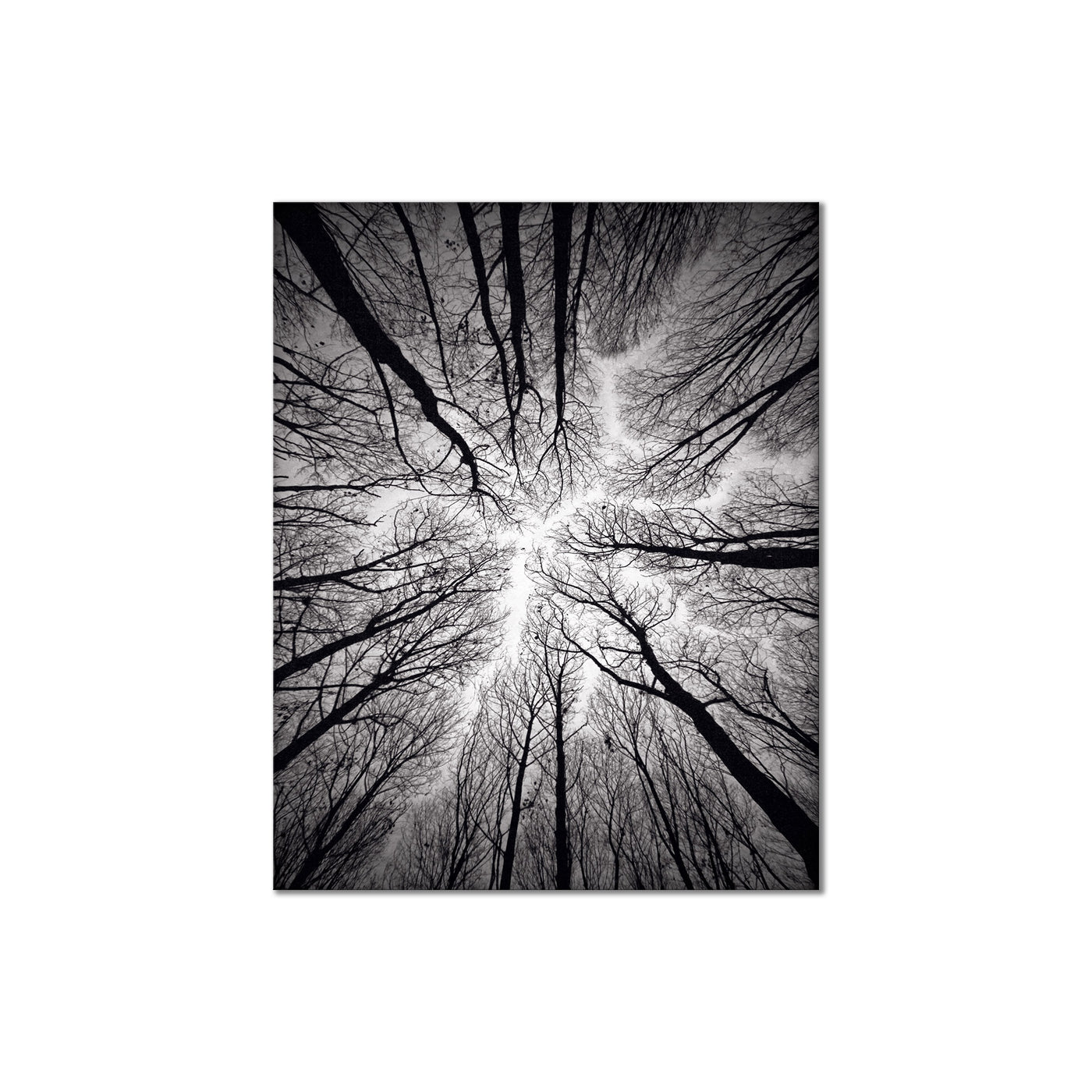 Ceiling