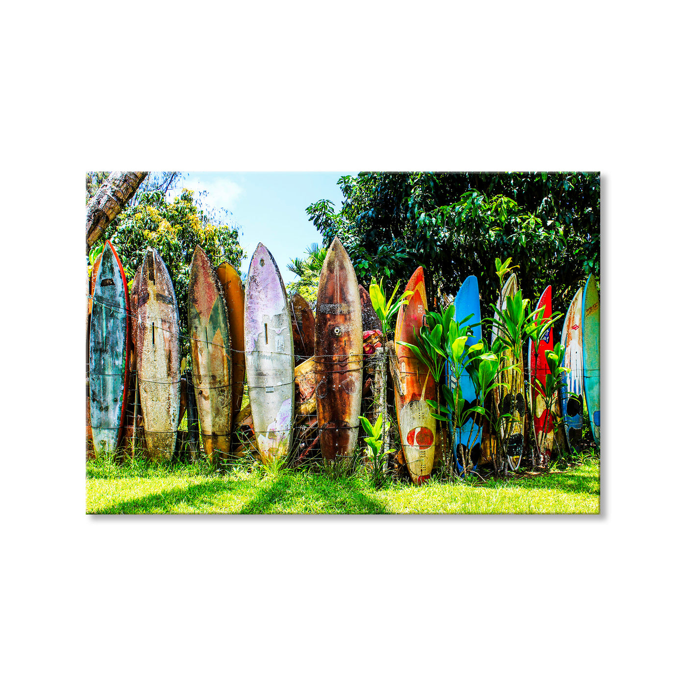Surfboard Fence