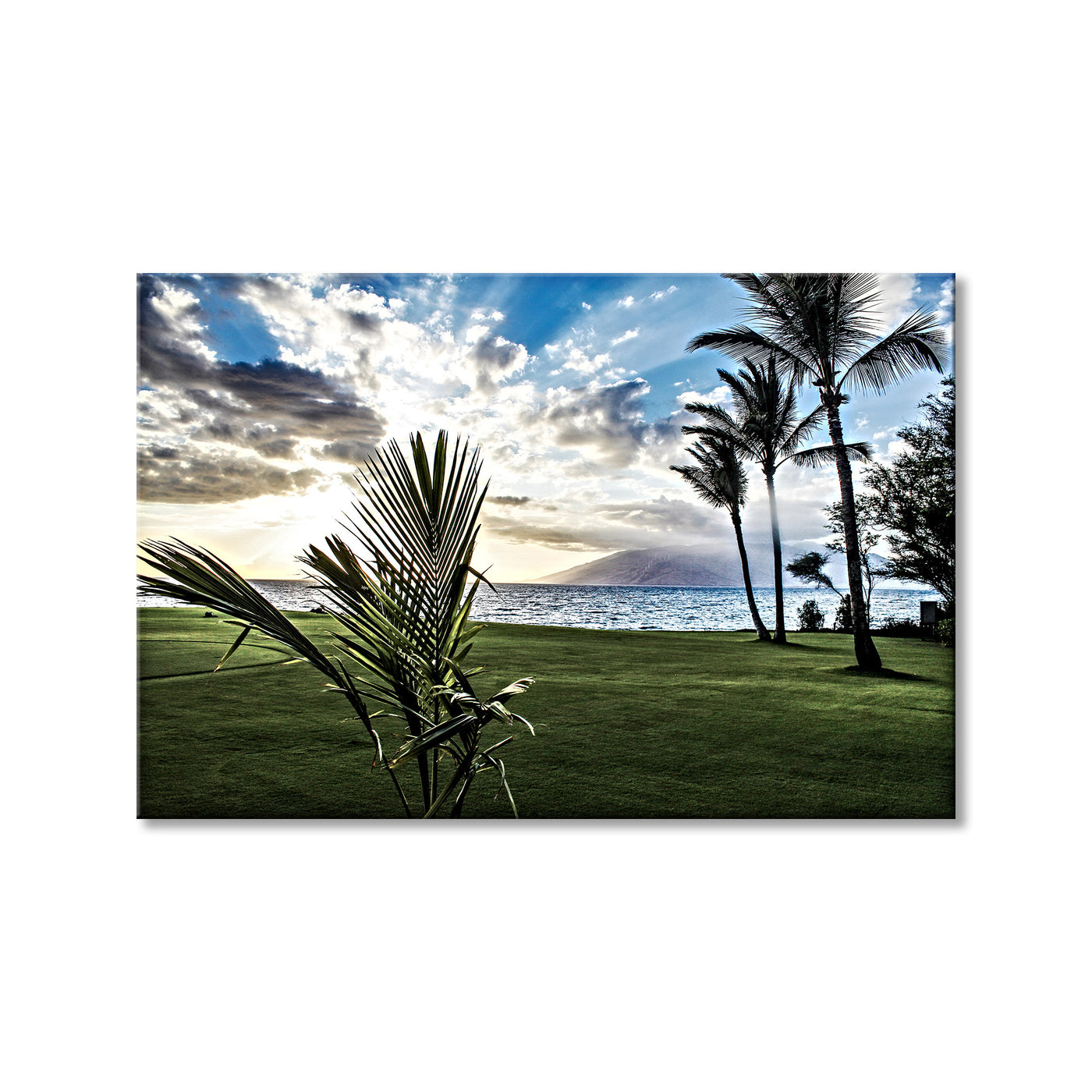 Waui Maui