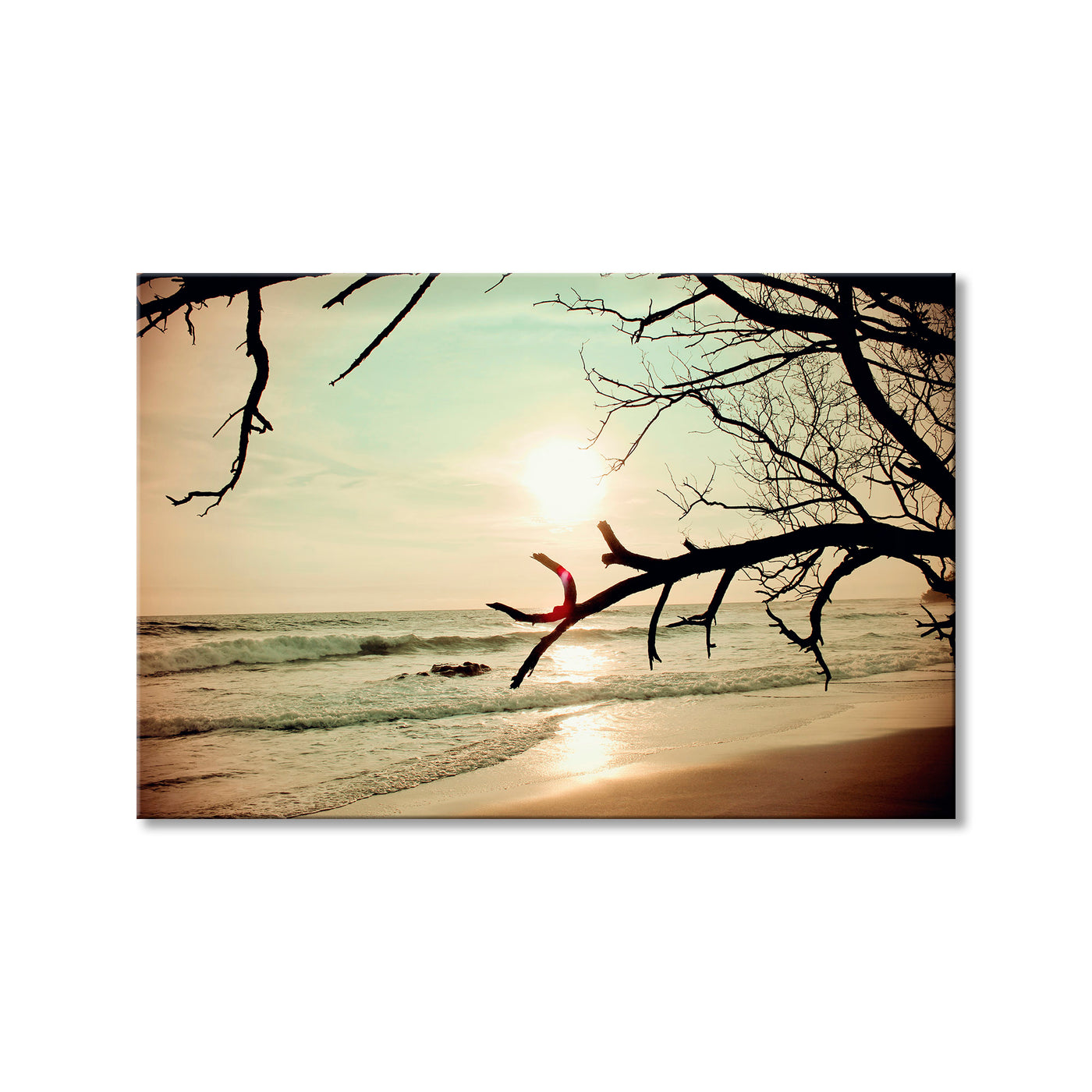Wind on the Water