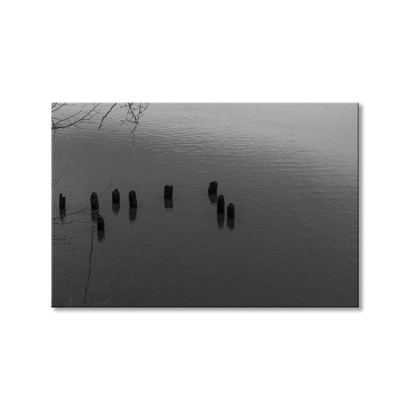 Distant Memories