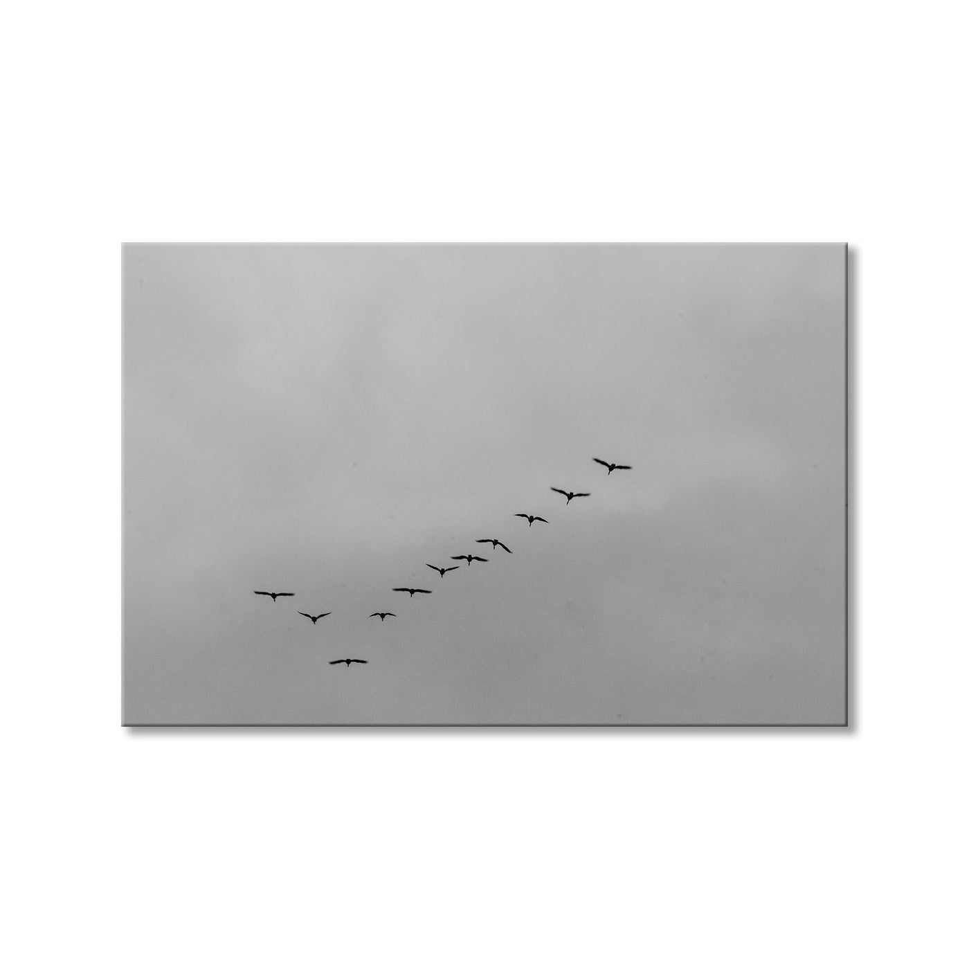 Formation
