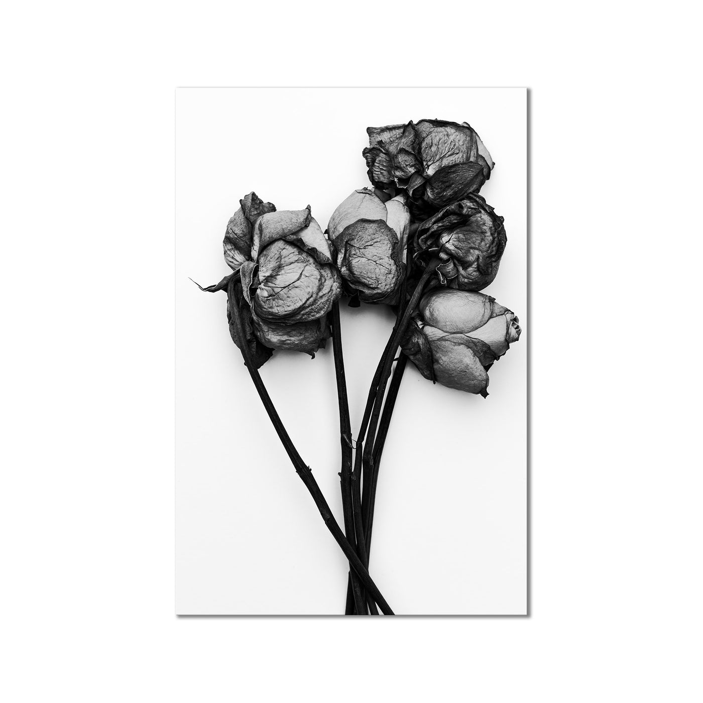 Memories of You II