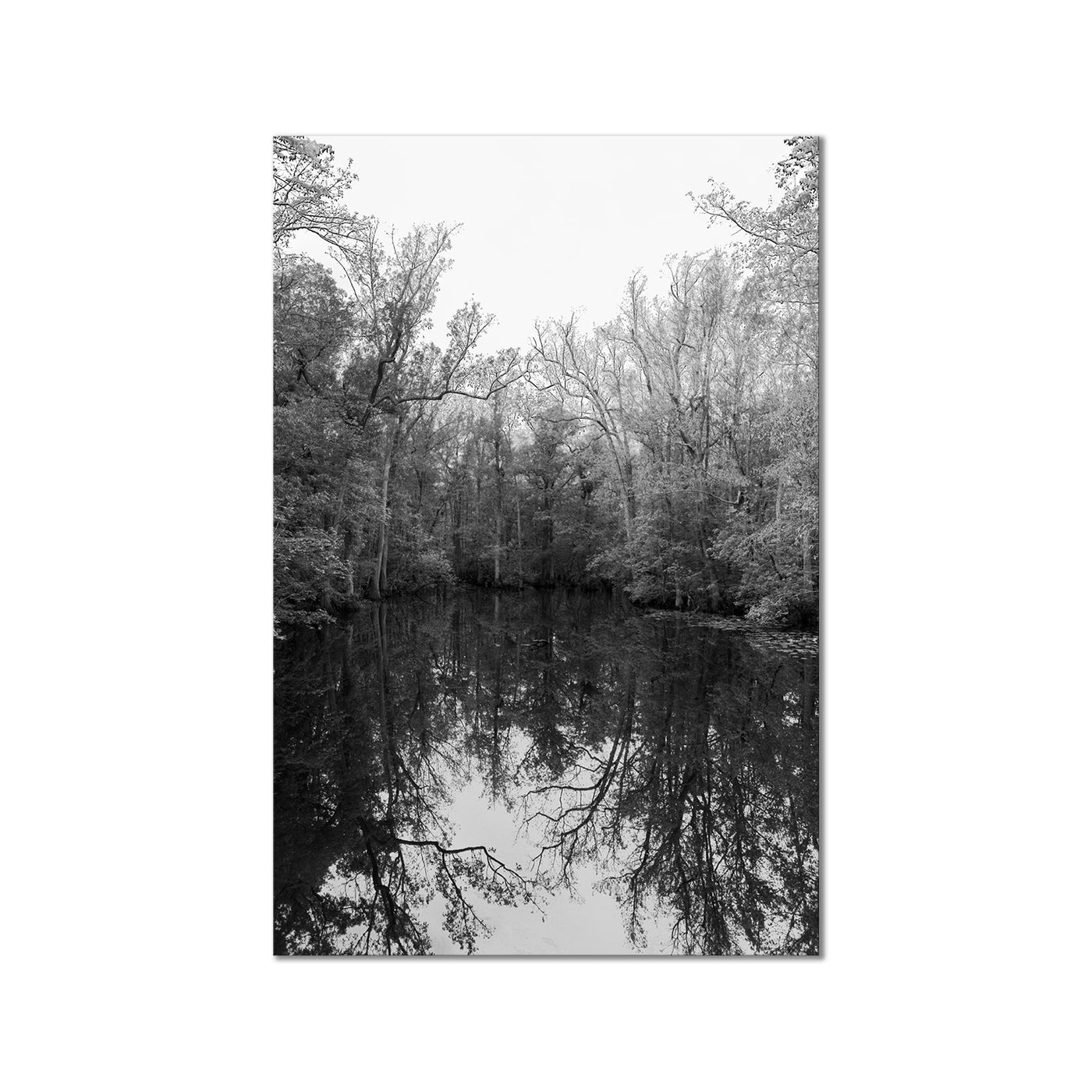 Reflection