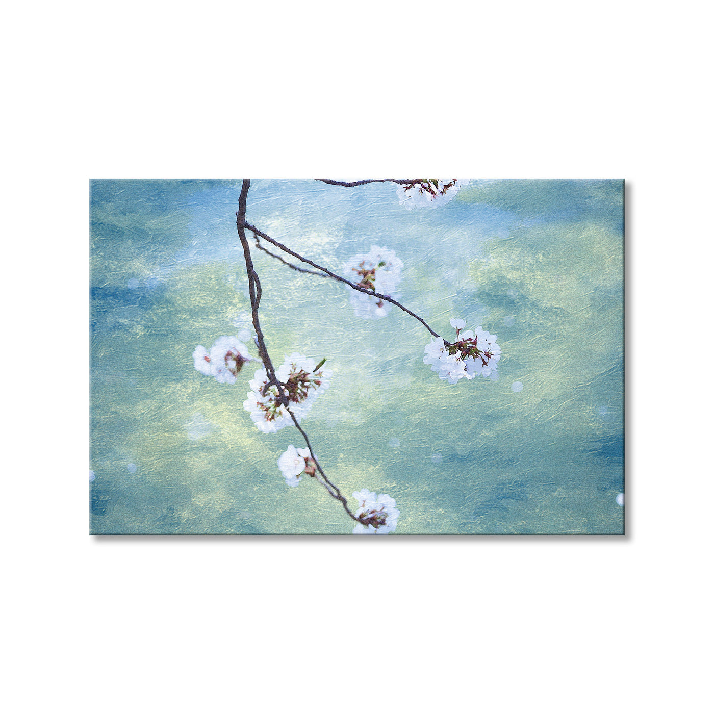 Moribana