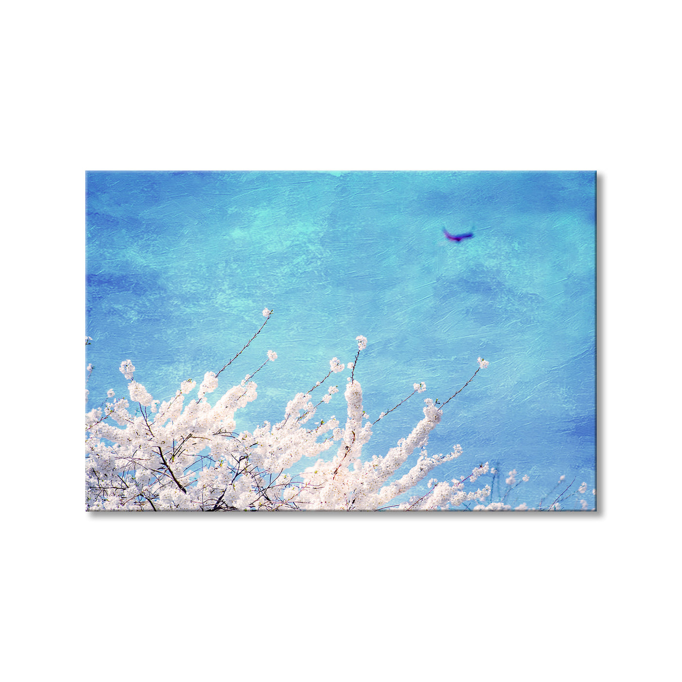 Reaching Blooms