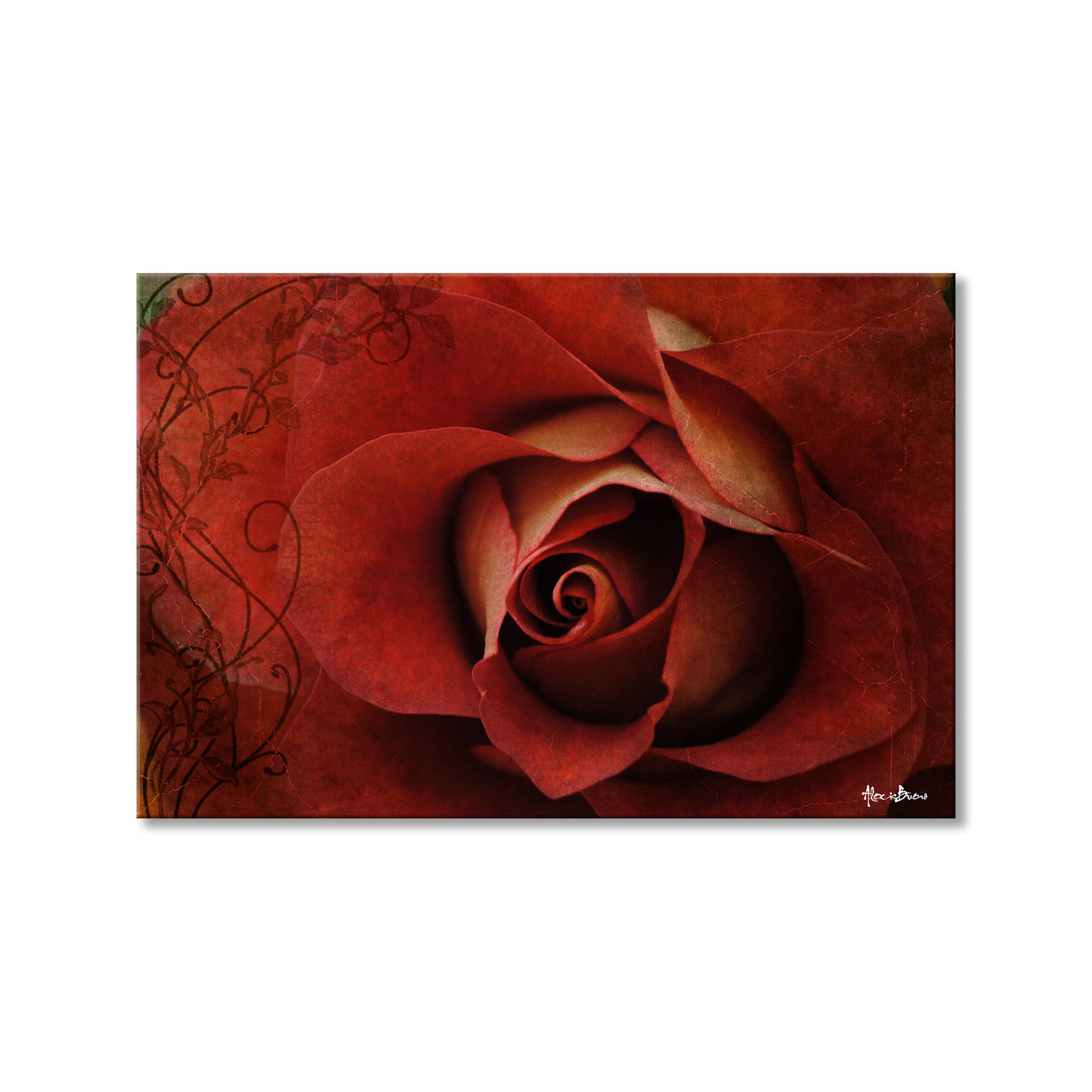 Roses are Red