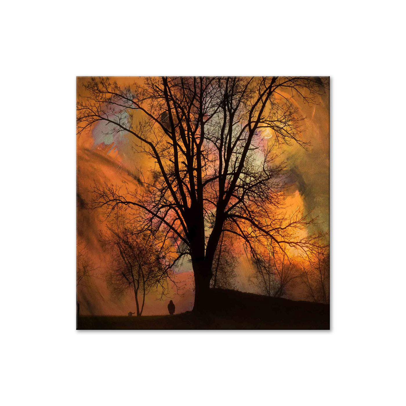 Silhouette VI
