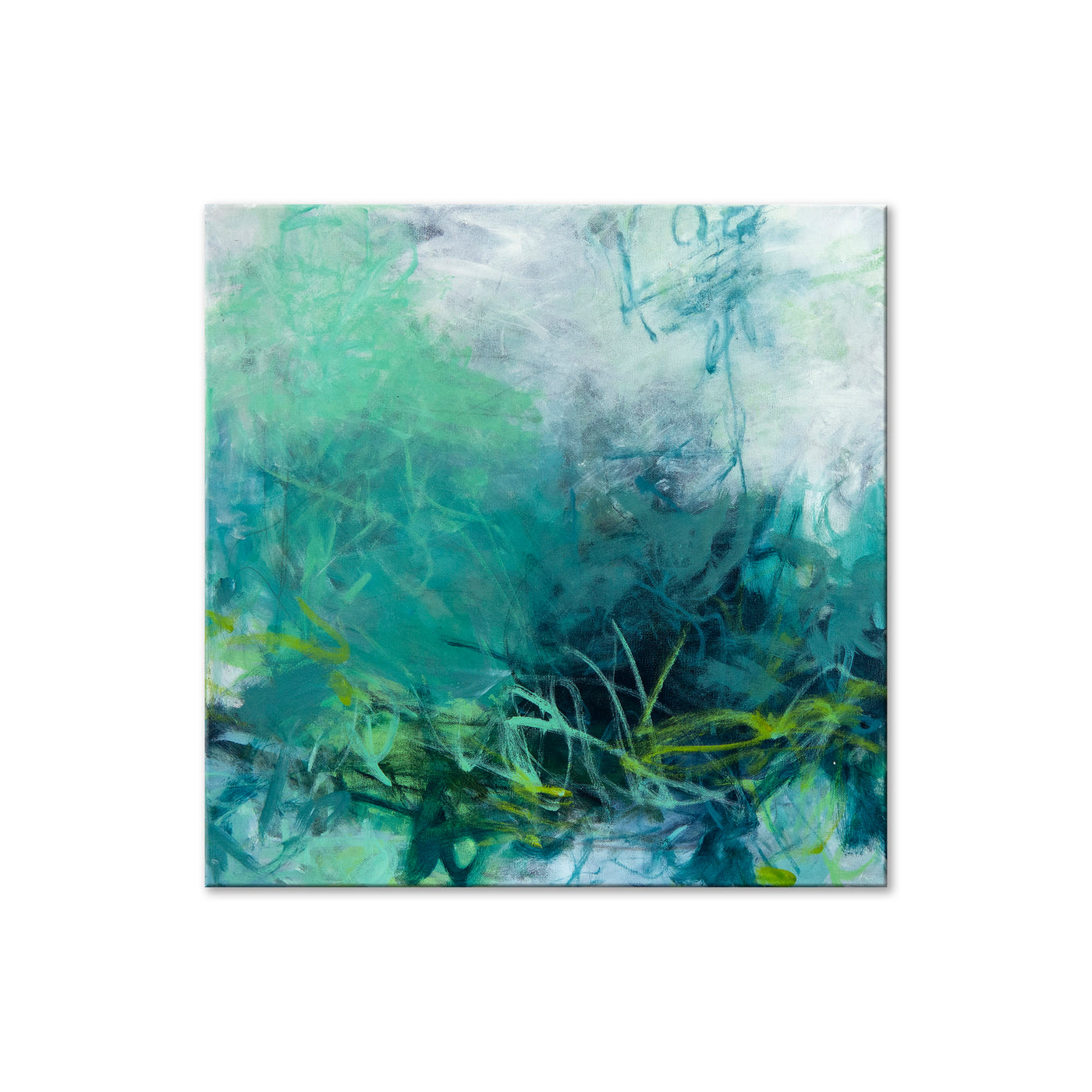 Wading in the Shallows