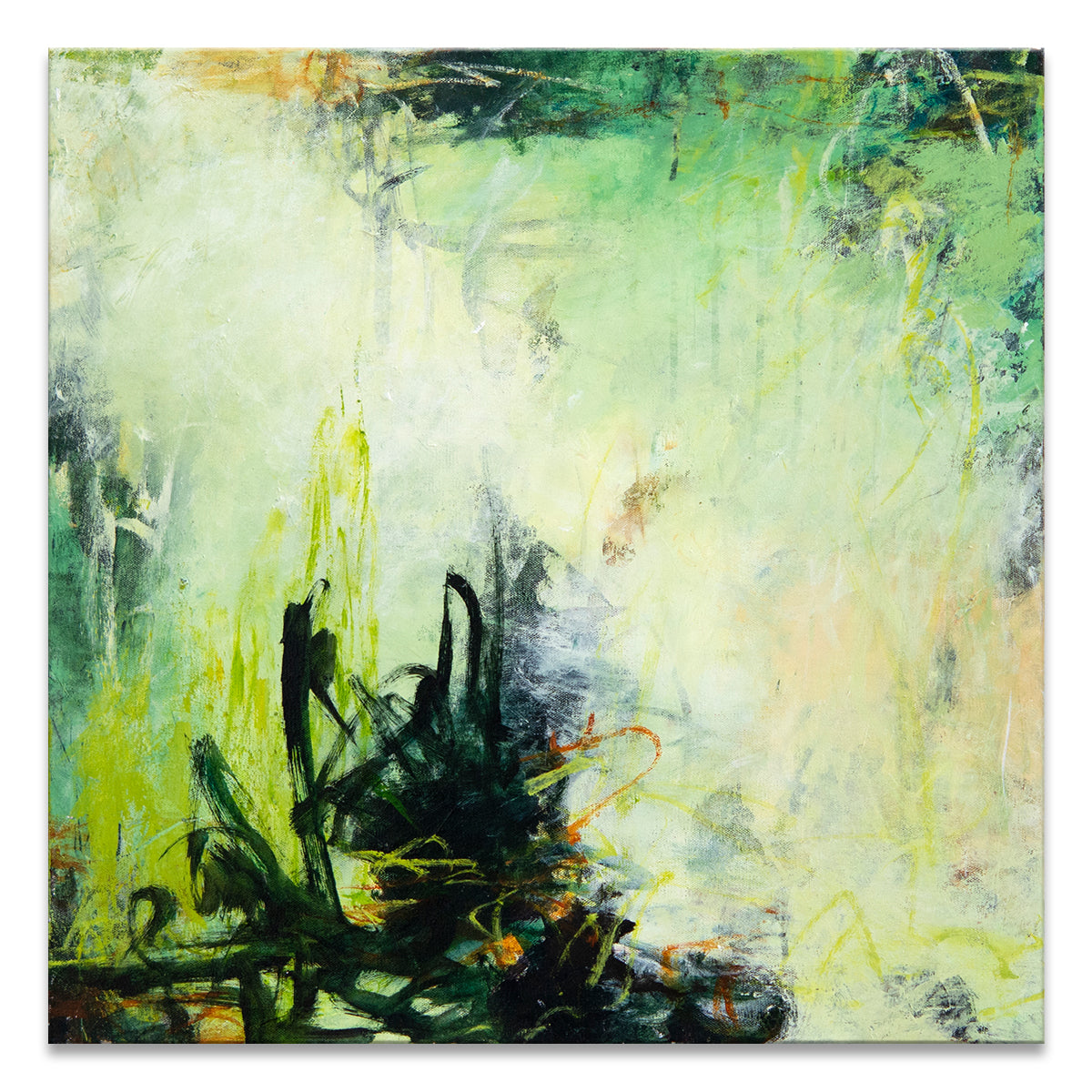 Woodland View