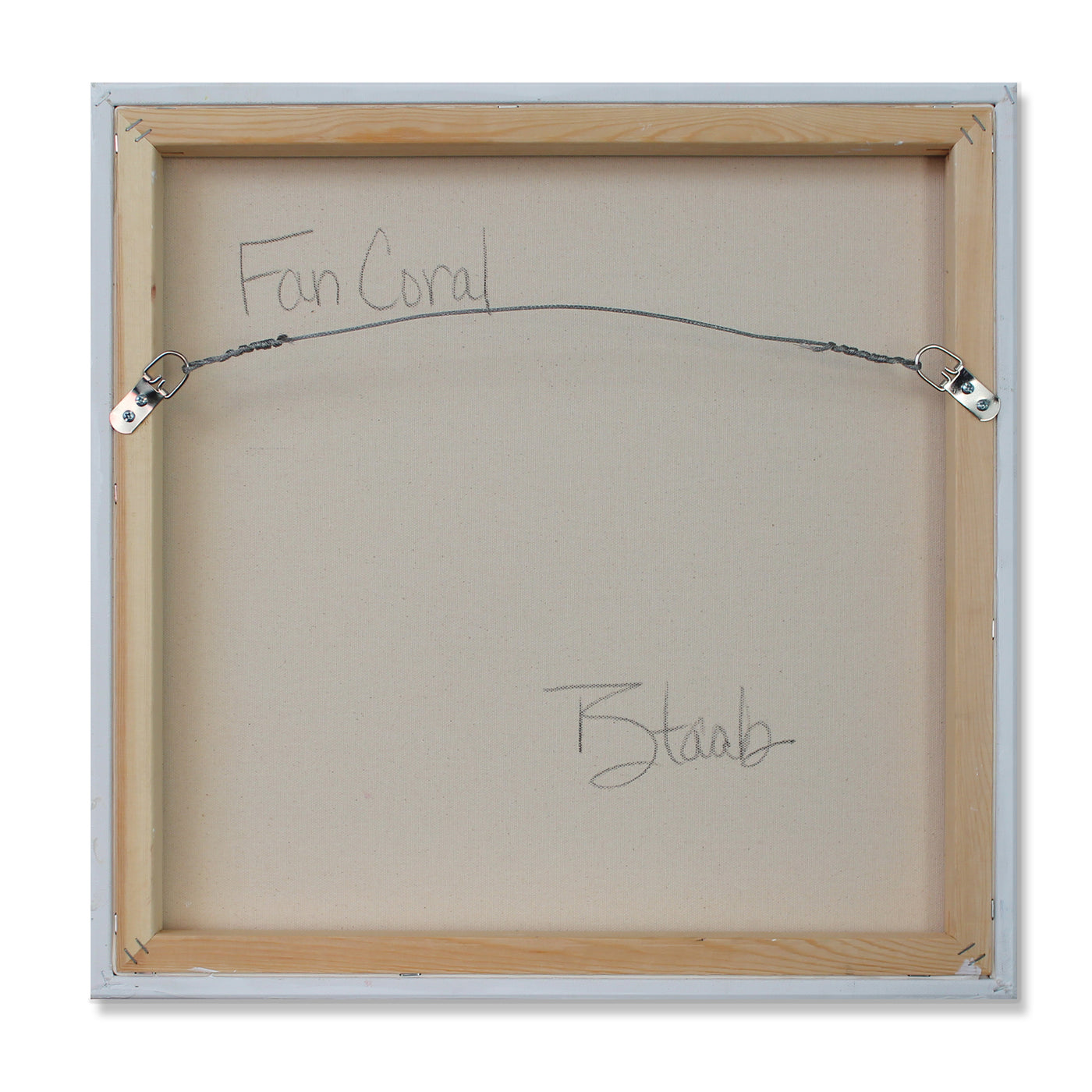 Fan Coral
