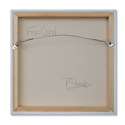 Fan Coral