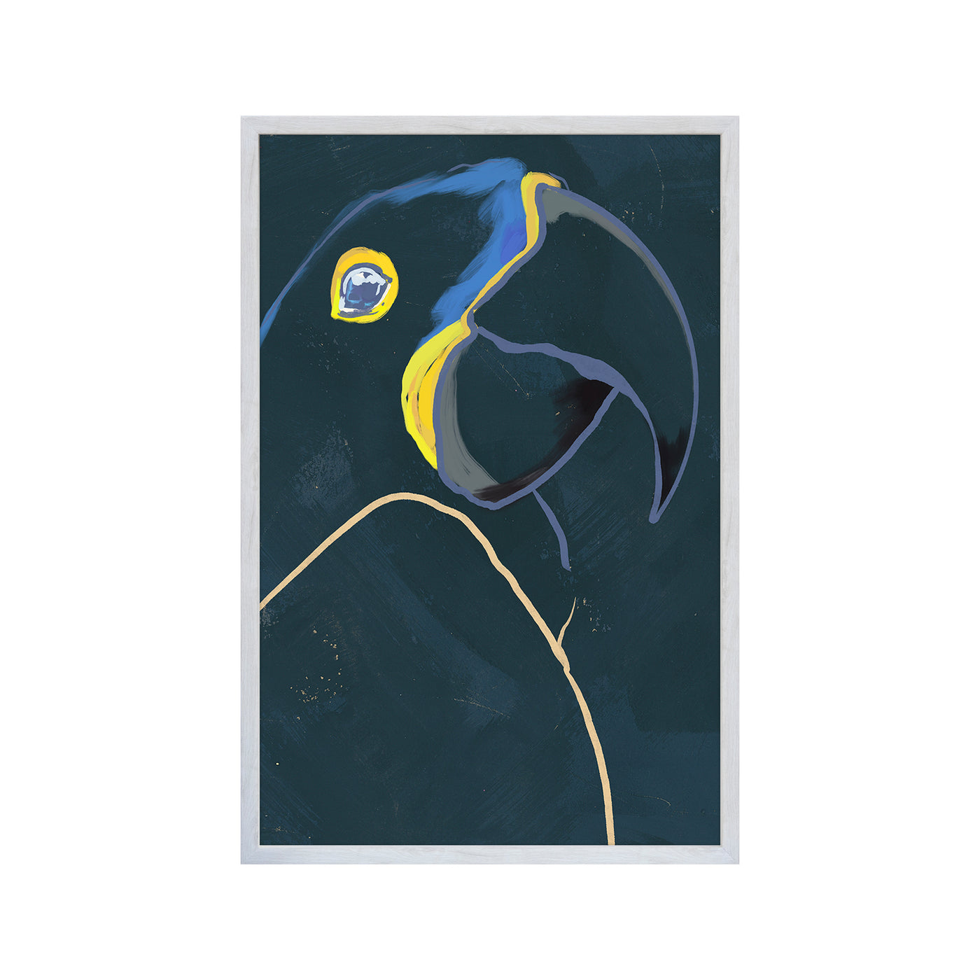 Aviary Macaw