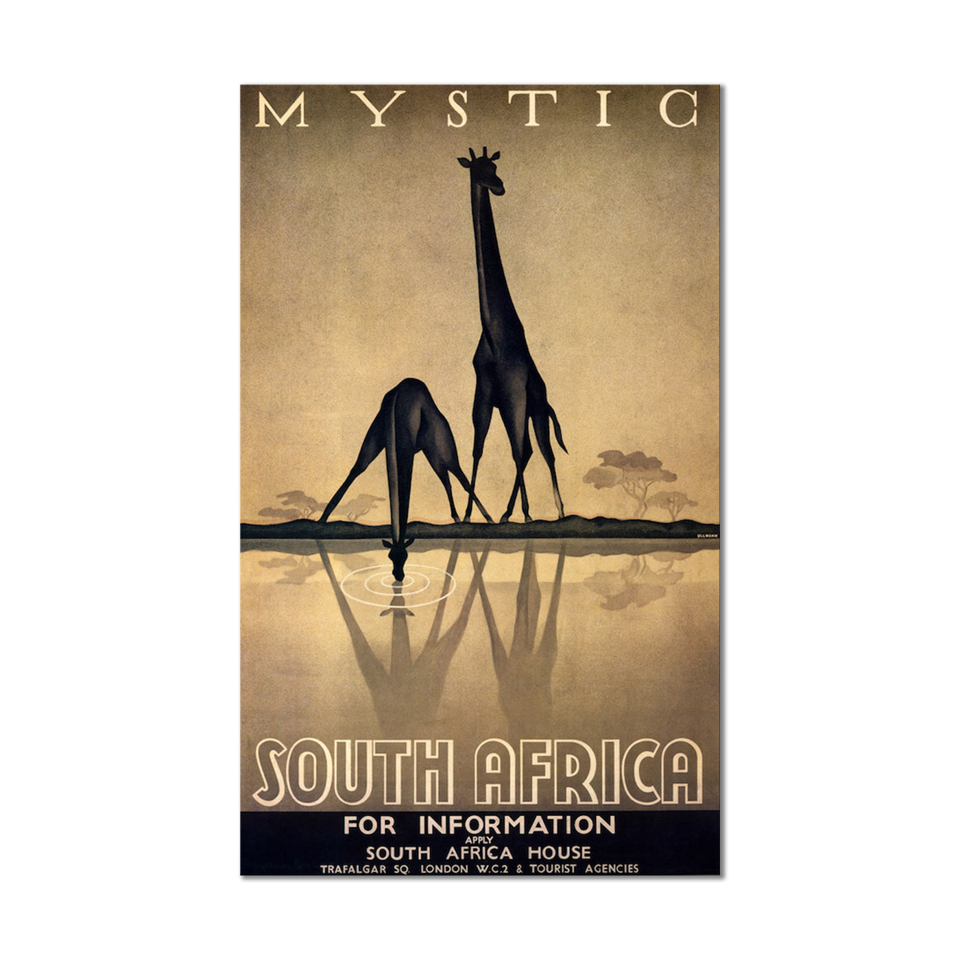 Mystic South Africa