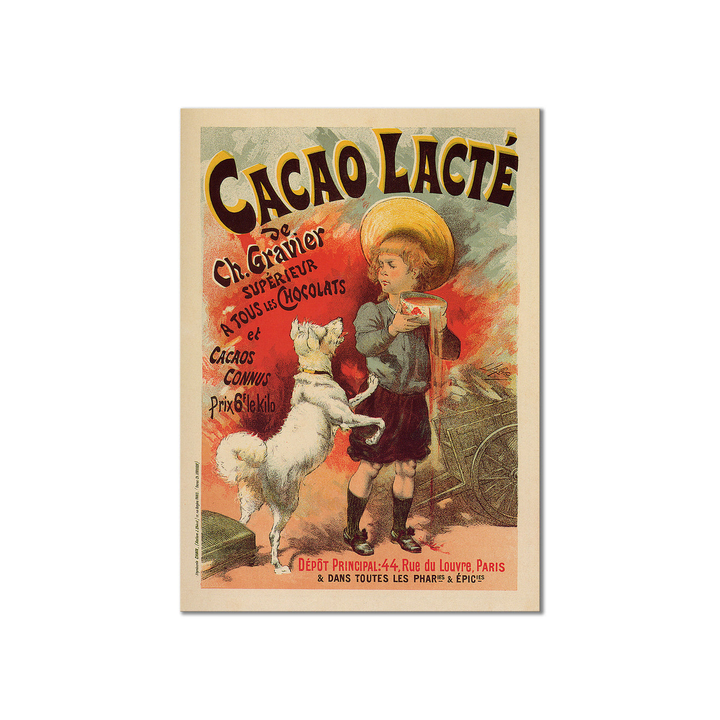Cacao Lacte